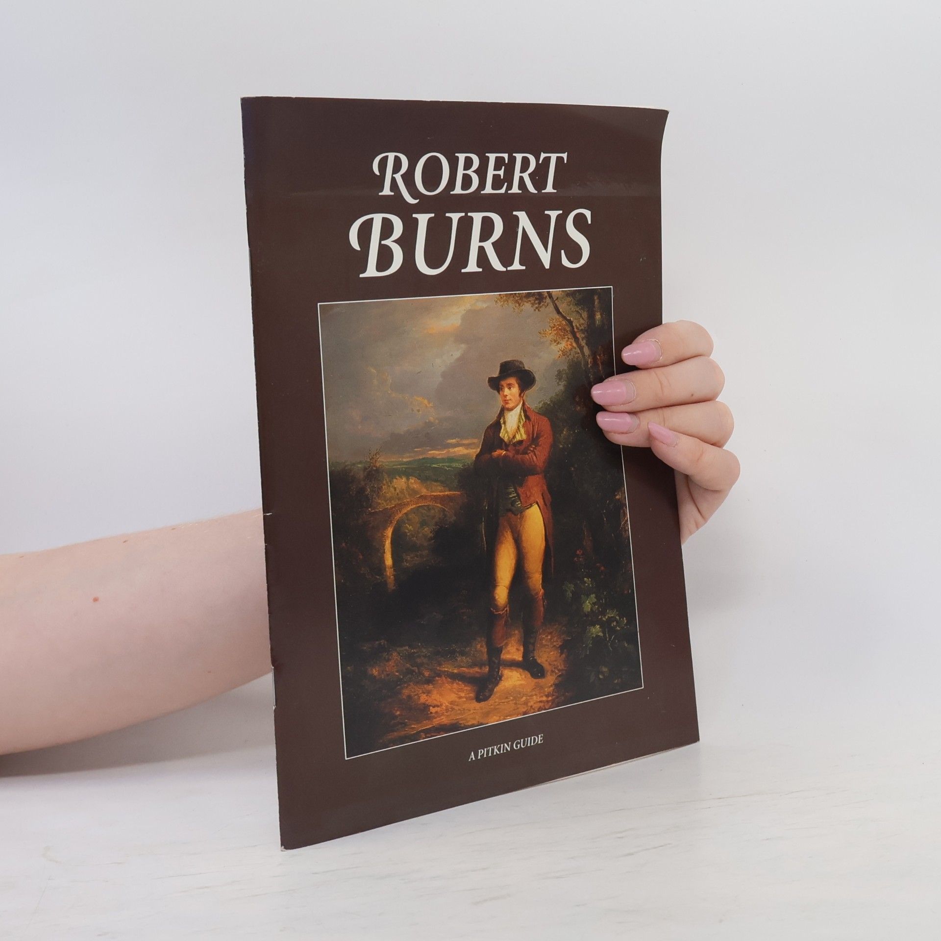 Alan Bold Pitkin Guides: Robert Burns