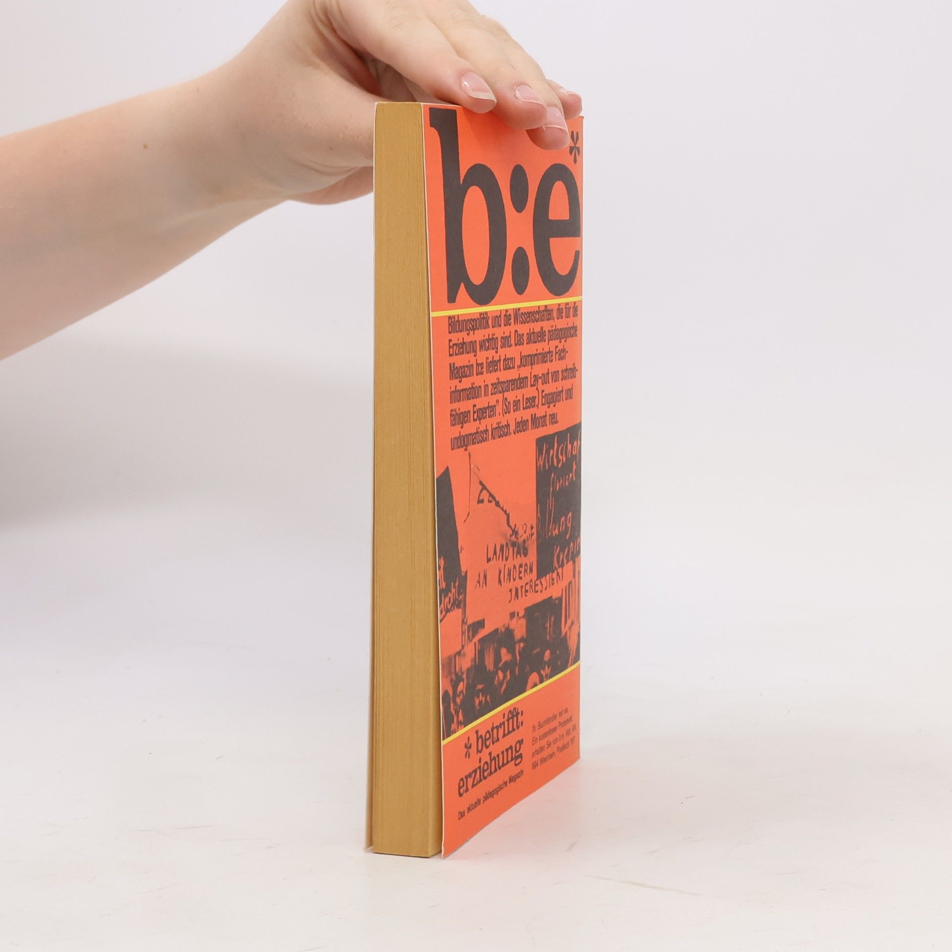 Johan Galtung Kapitalistische Grossmacht Europa oder die Gemeinschaft der Konzerne?
