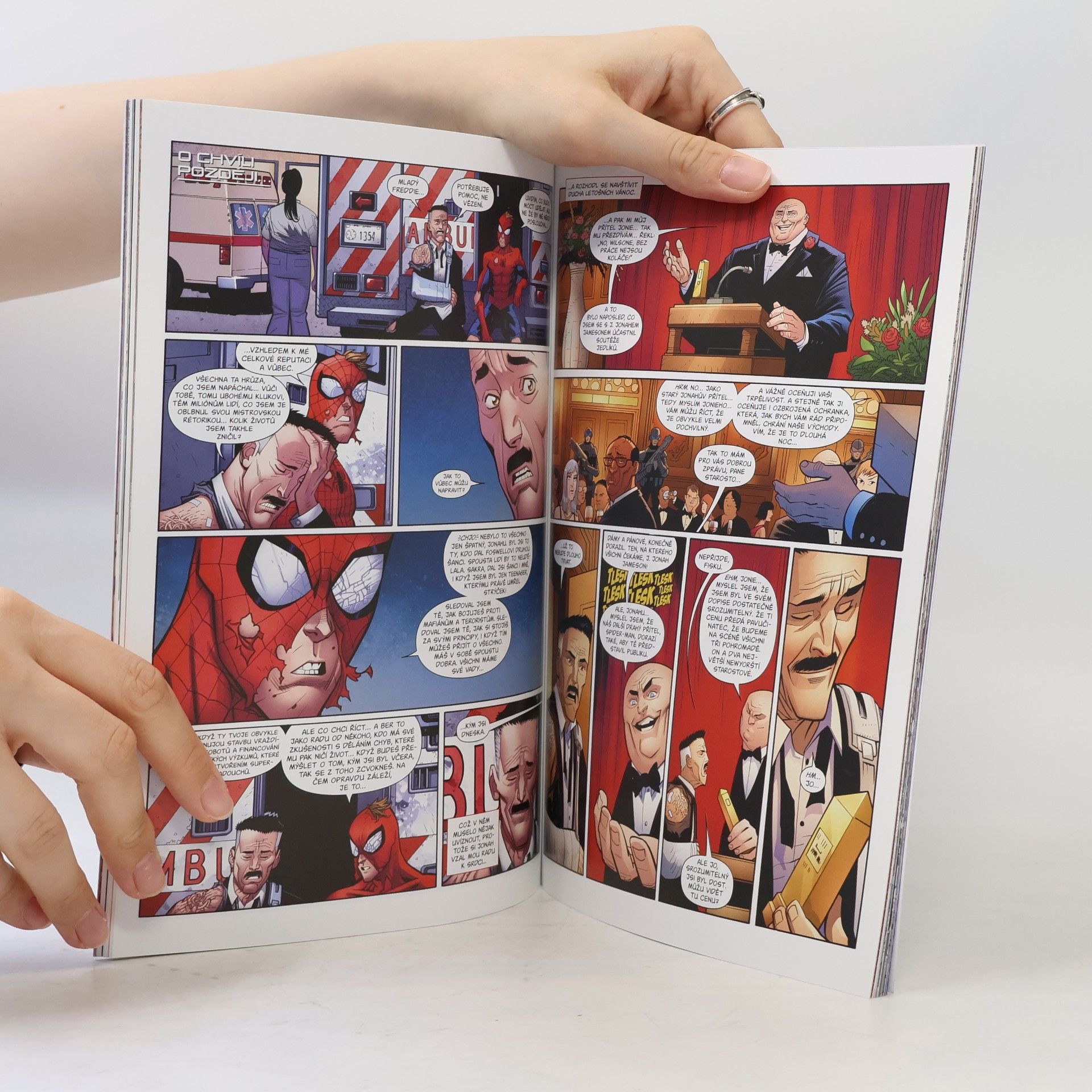 Kolektiv autorů Amazing Spider-Man: Životní zásluhy