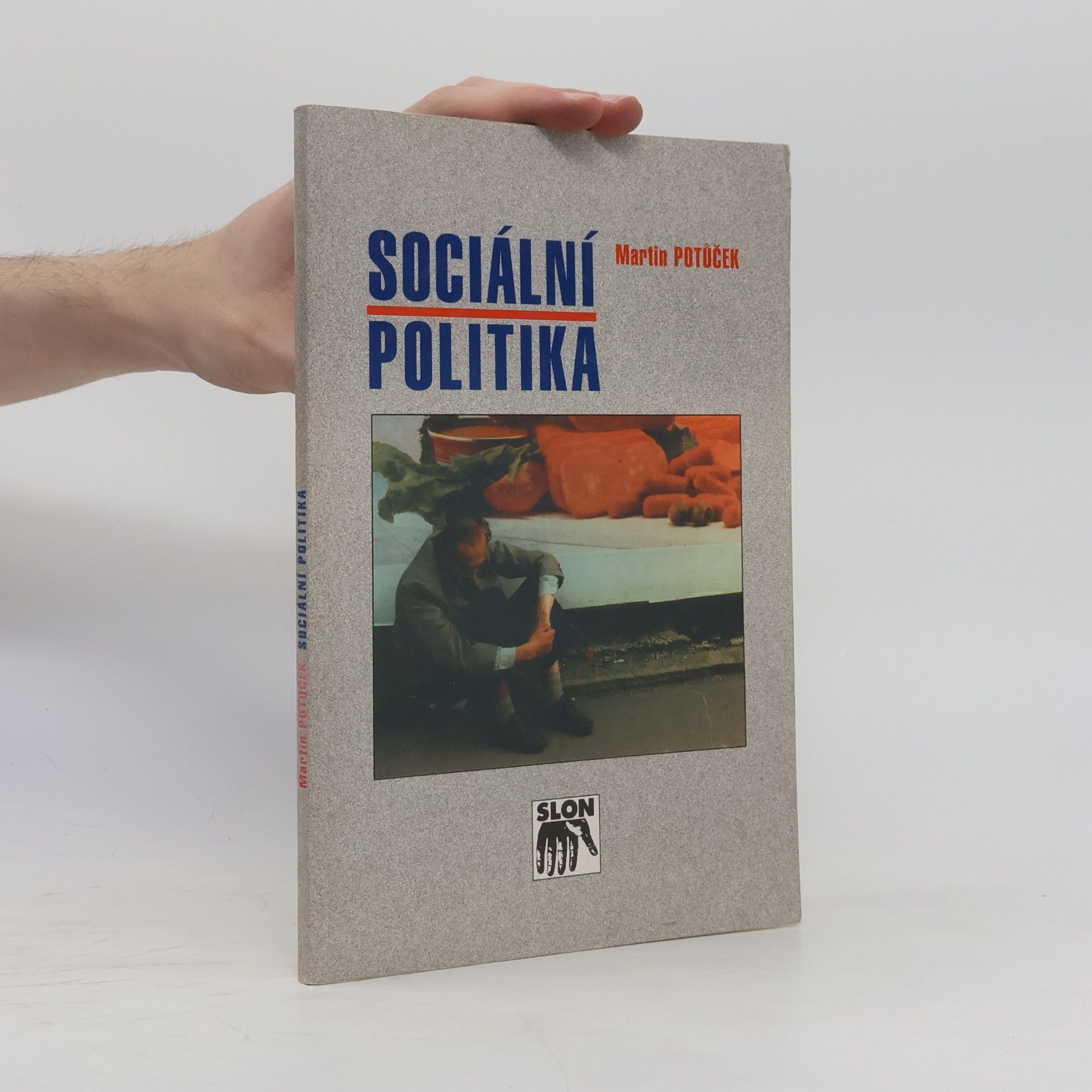 Martin Potůček Sociální politika