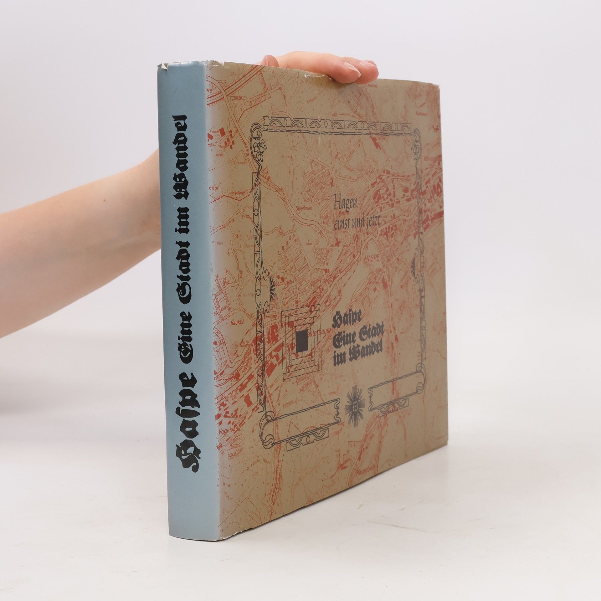 Michael Eckhoff Haspe. Eine Stadt im Wandel