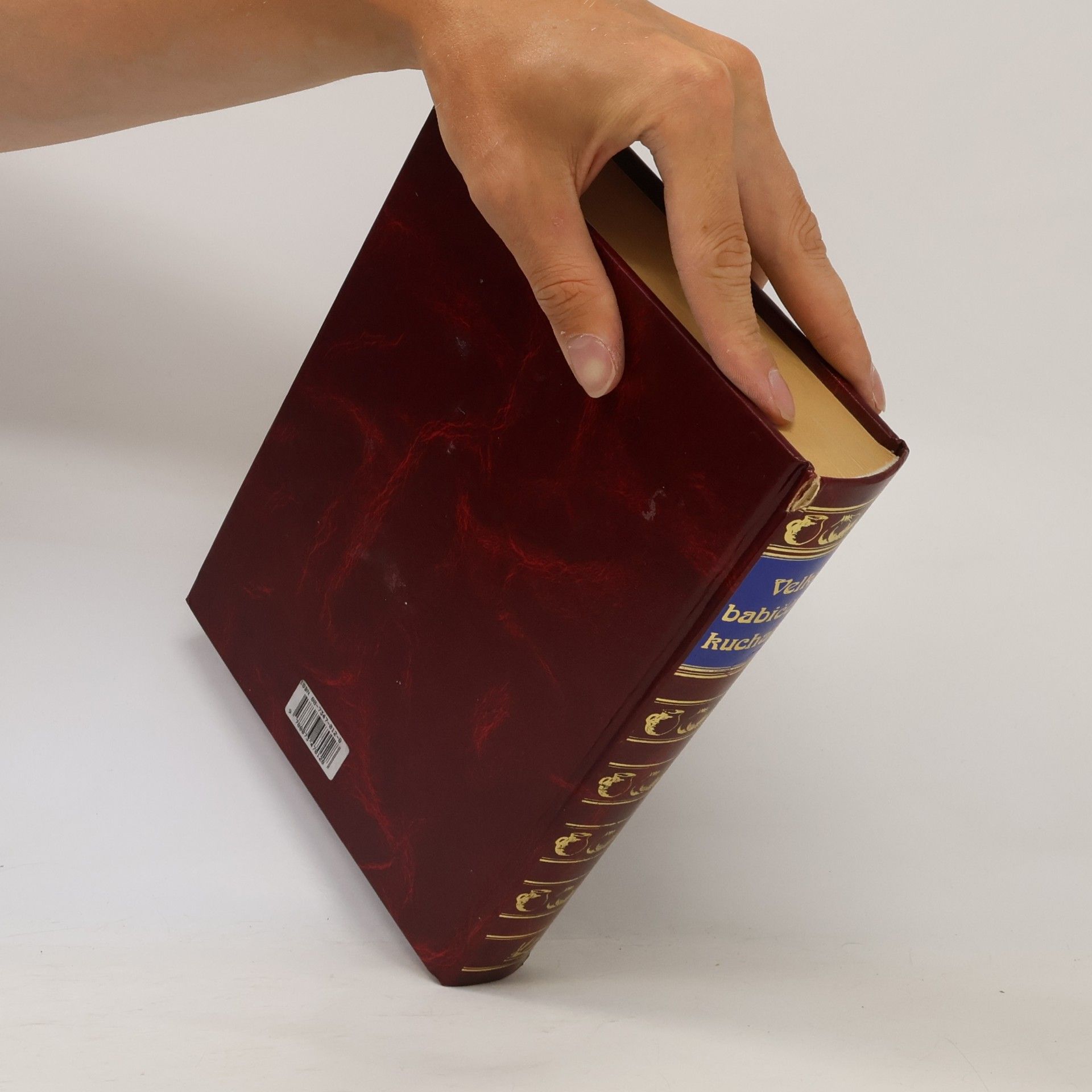 Autorenkollektiv Velká babiččina kuchařka