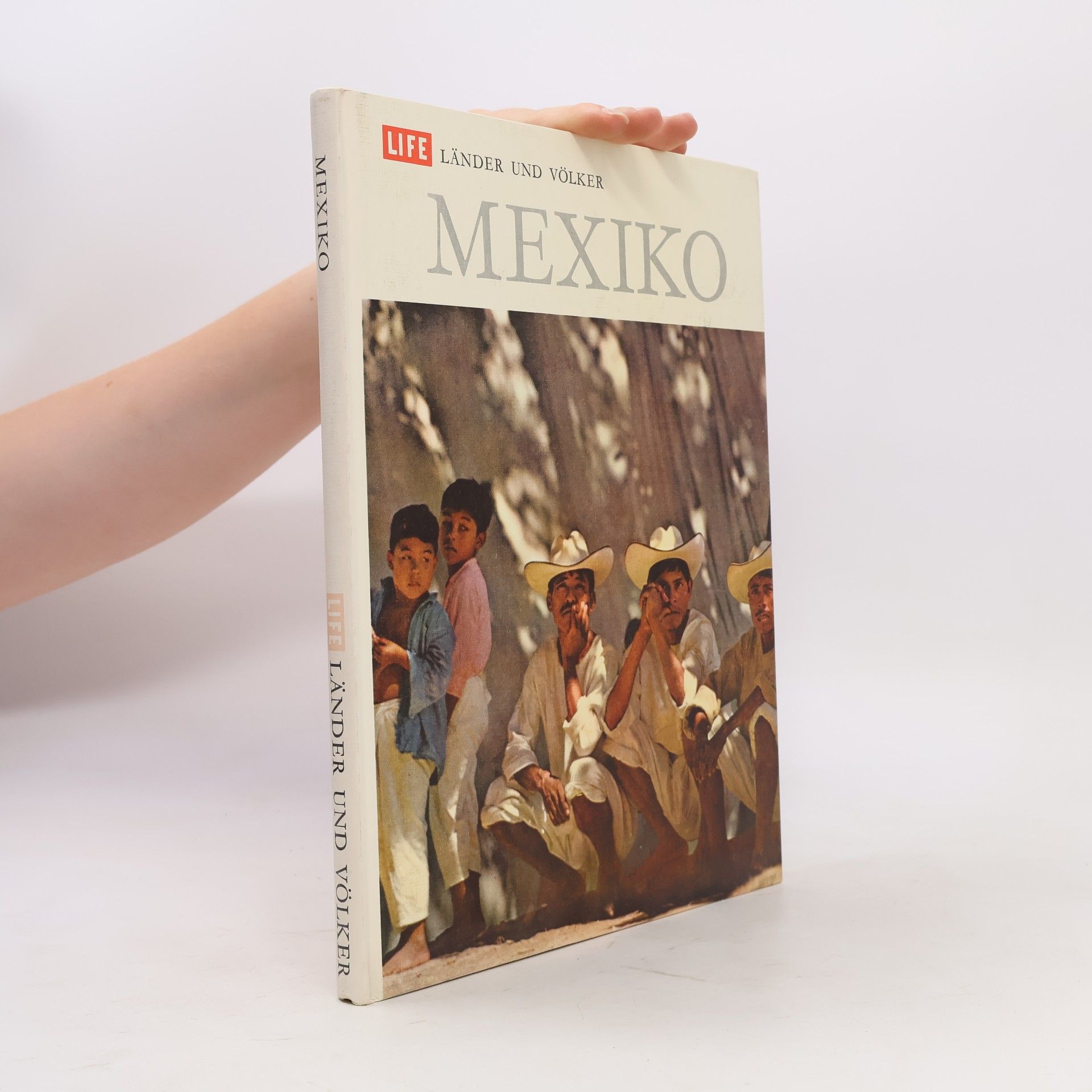 William Weber Johnson Mexiko