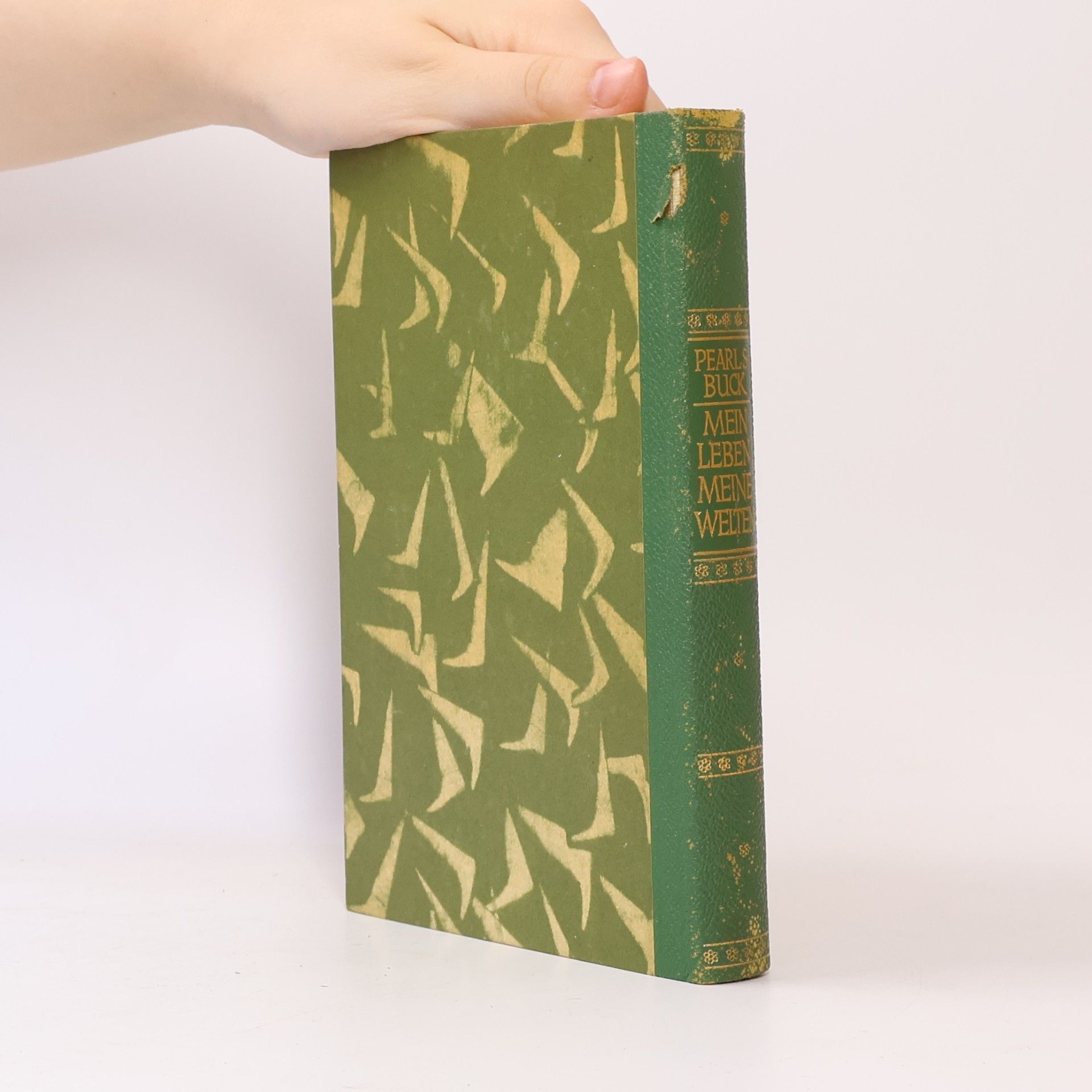 Pearl S. Buck Mein Leben, meine Welten