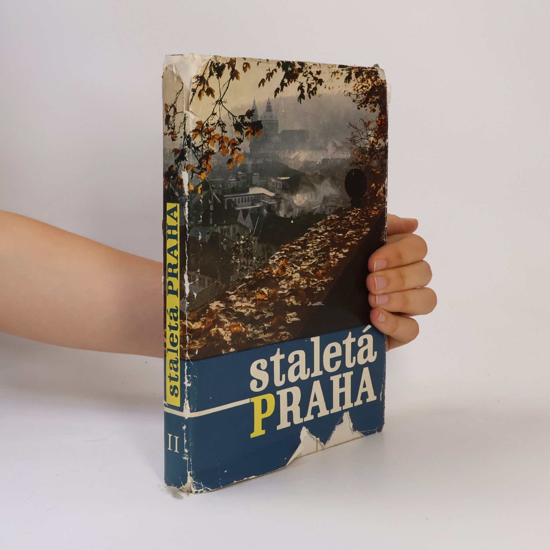 Zdislav Buříval Staletá Praha II