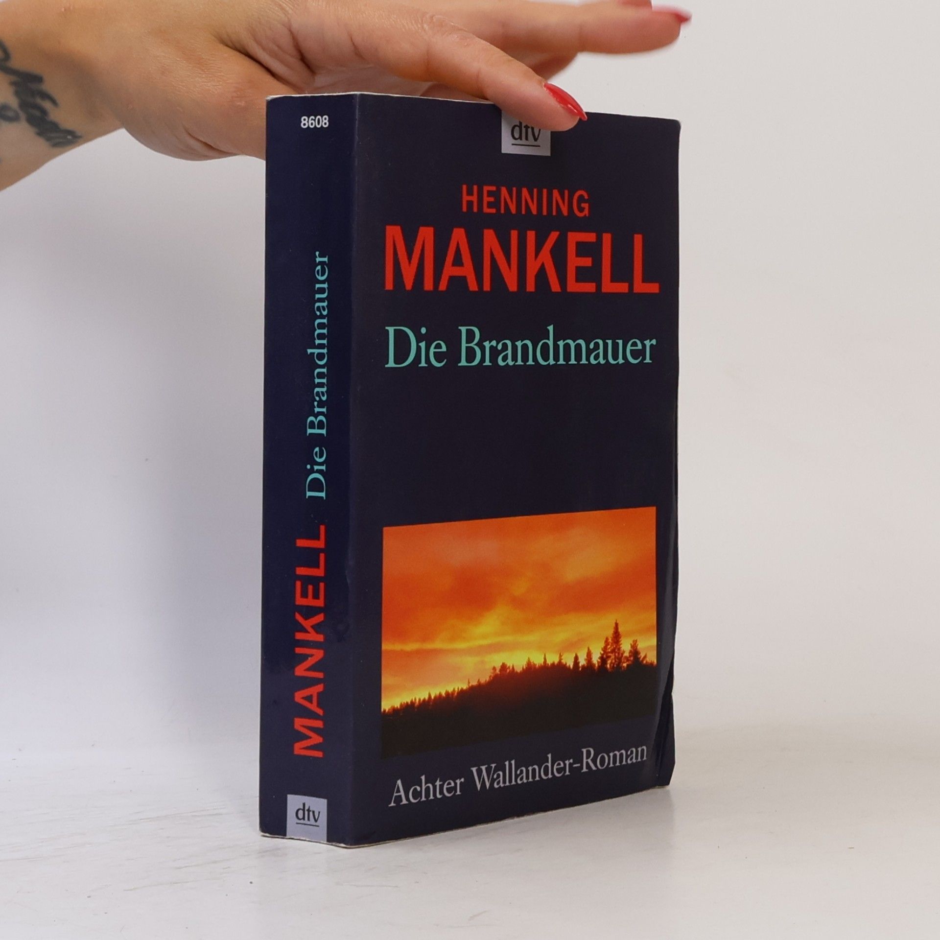 Henning Mankell Die Brandmauer