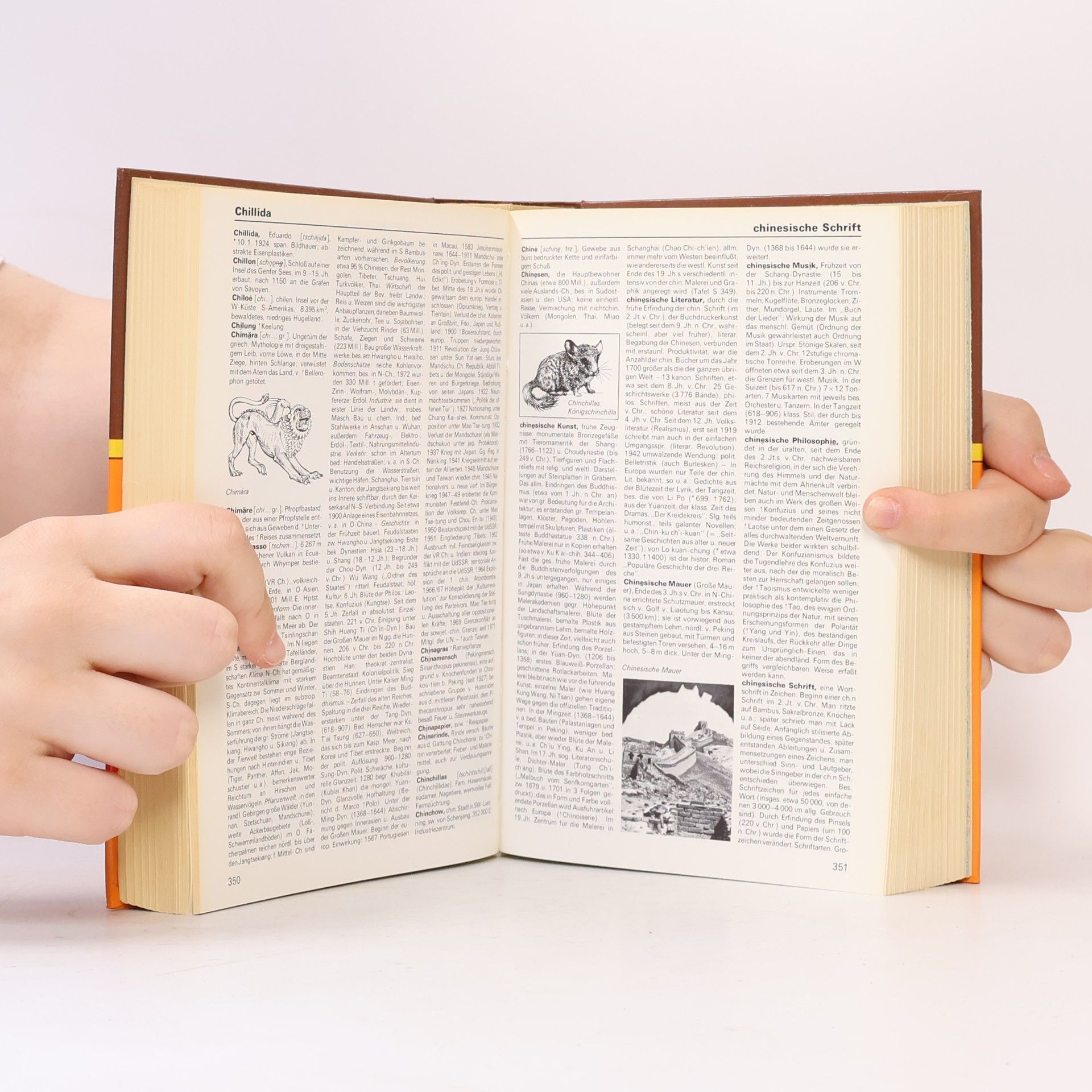 Autorenkollektiv Das Farbige Duden-Lexikon 1 A-F