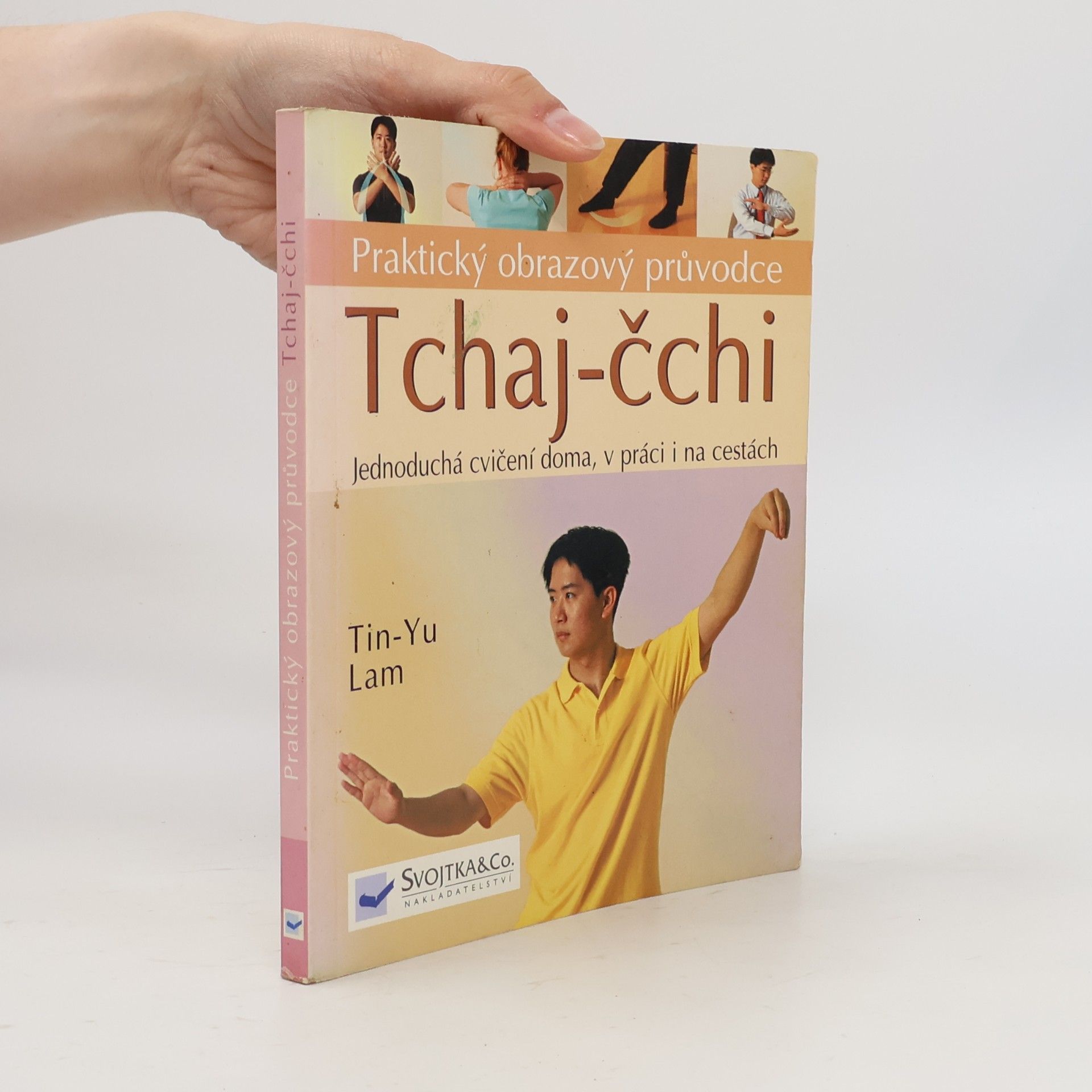 Tin Yu Lam Tchaj čchi - praktický obrazový průvodce