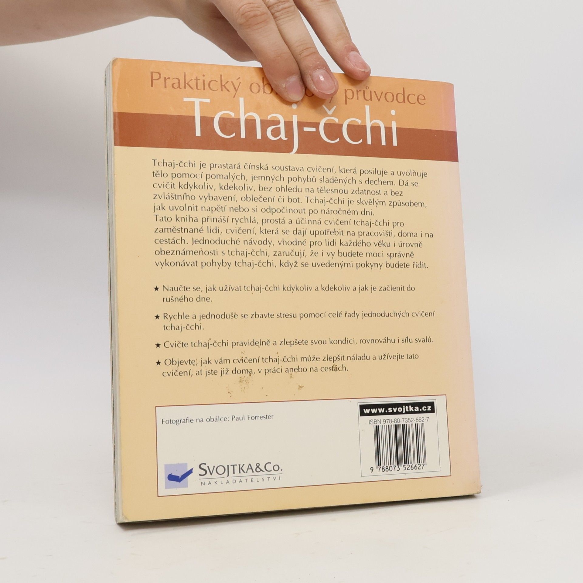 Tin Yu Lam Tchaj čchi - praktický obrazový průvodce
