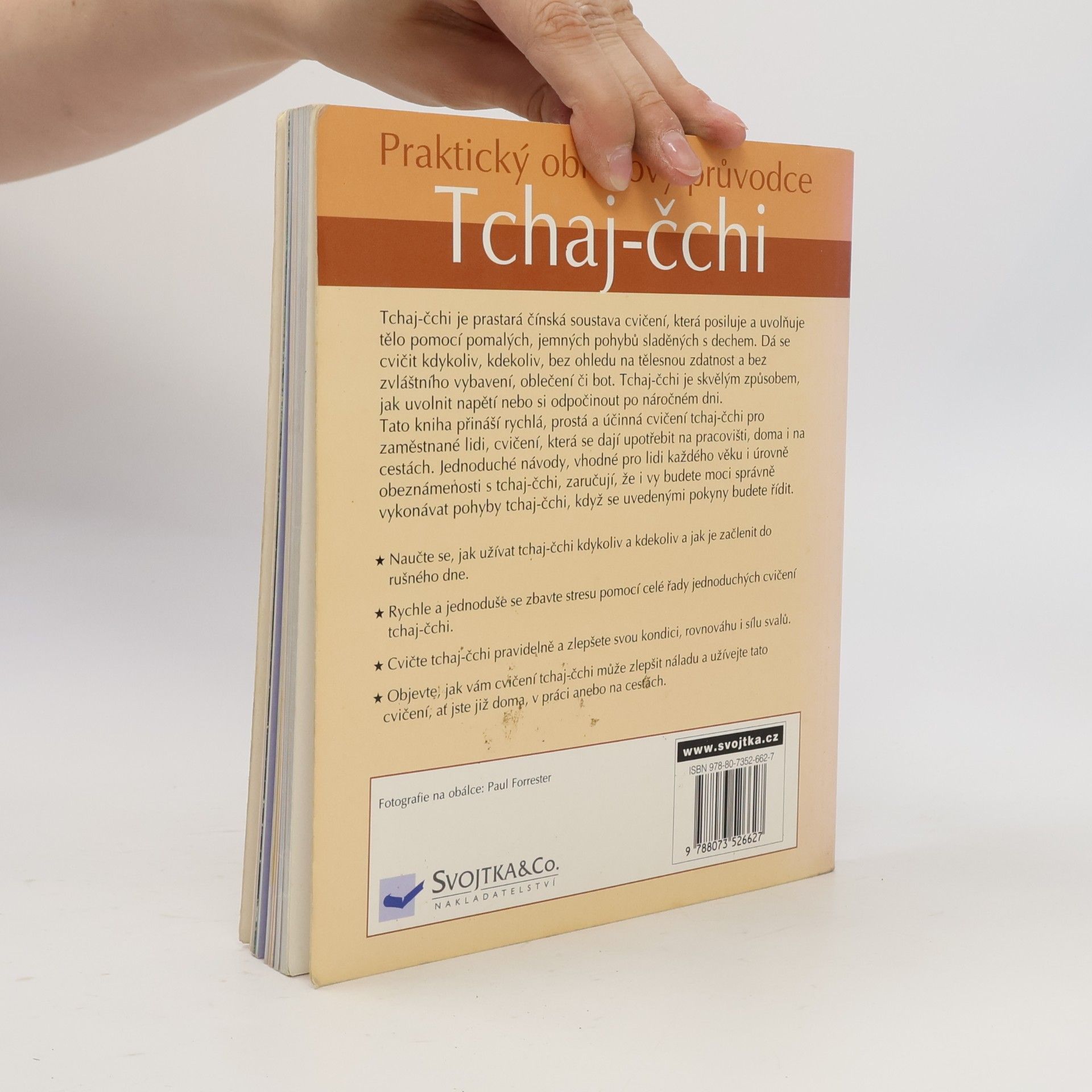 Tin Yu Lam Tchaj čchi - praktický obrazový průvodce