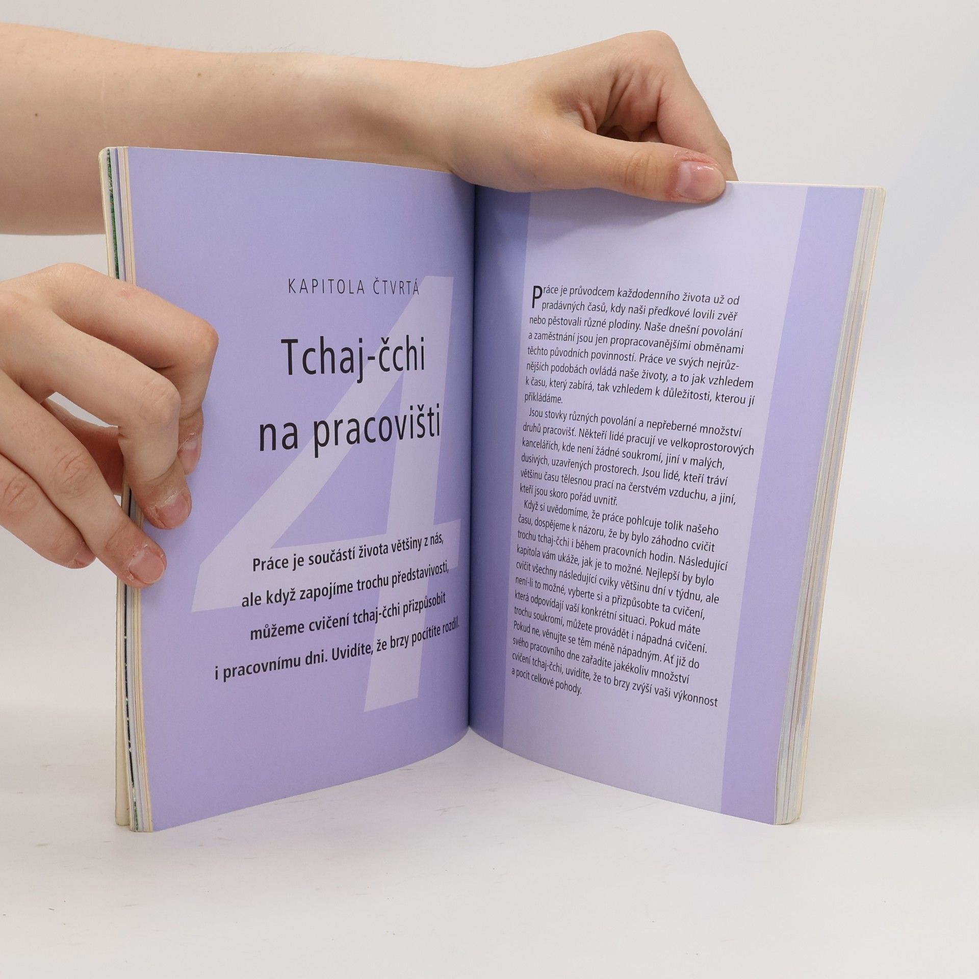 Tin Yu Lam Tchaj čchi - praktický obrazový průvodce
