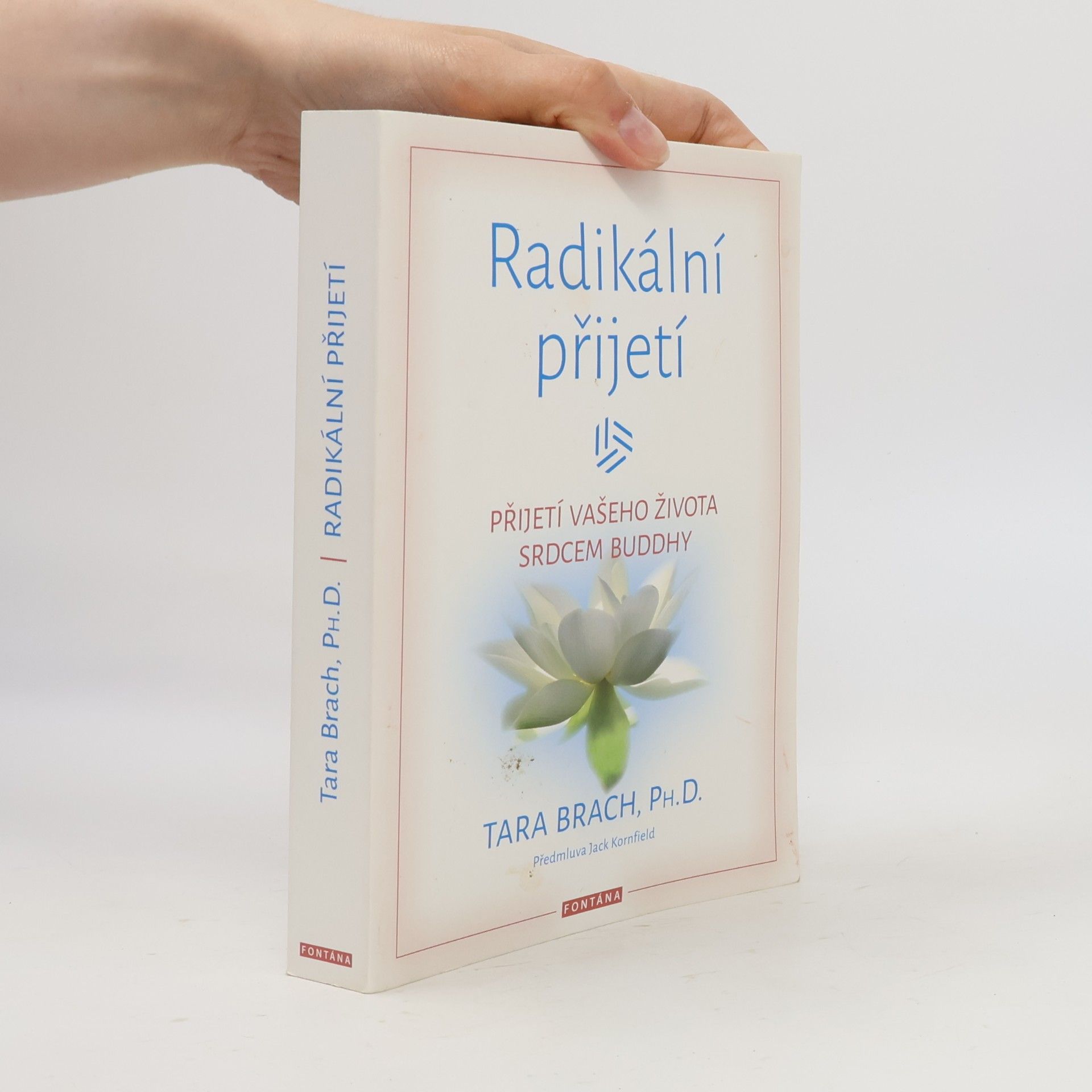 Tara Brach Radikální přijetí: Přijetí vašeho života srdcem Buddhy