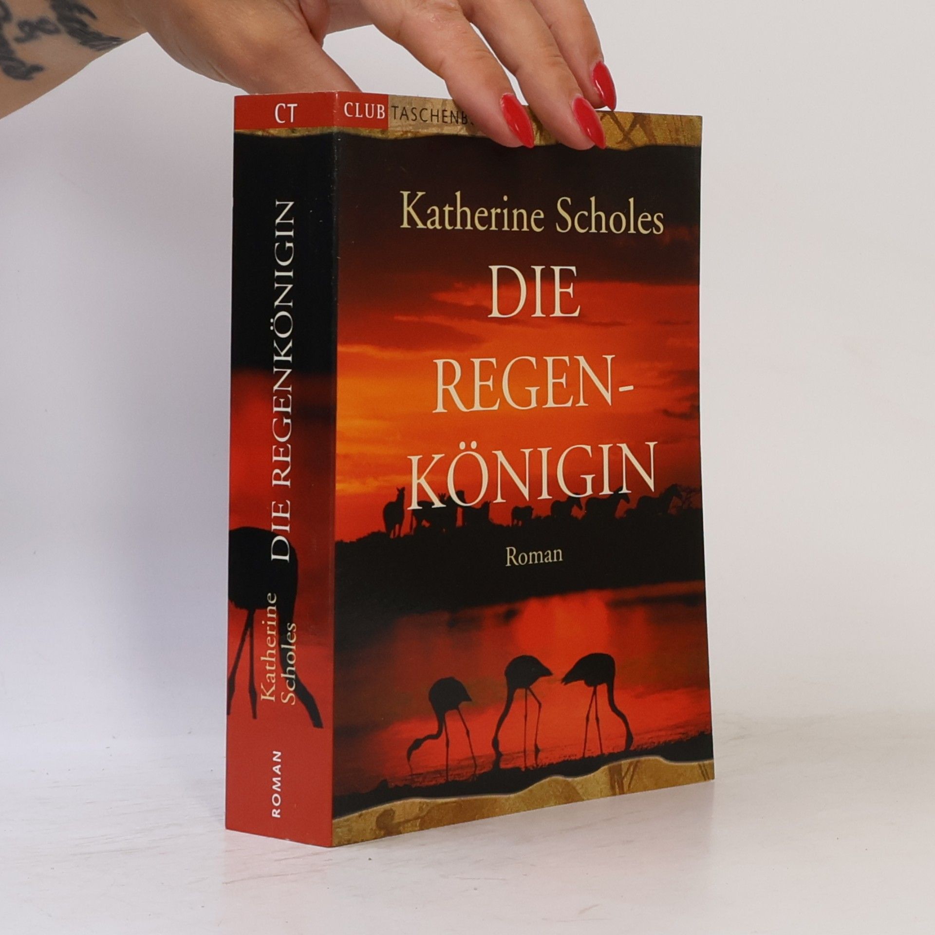 Katherine Scholes Die Regenkönigin