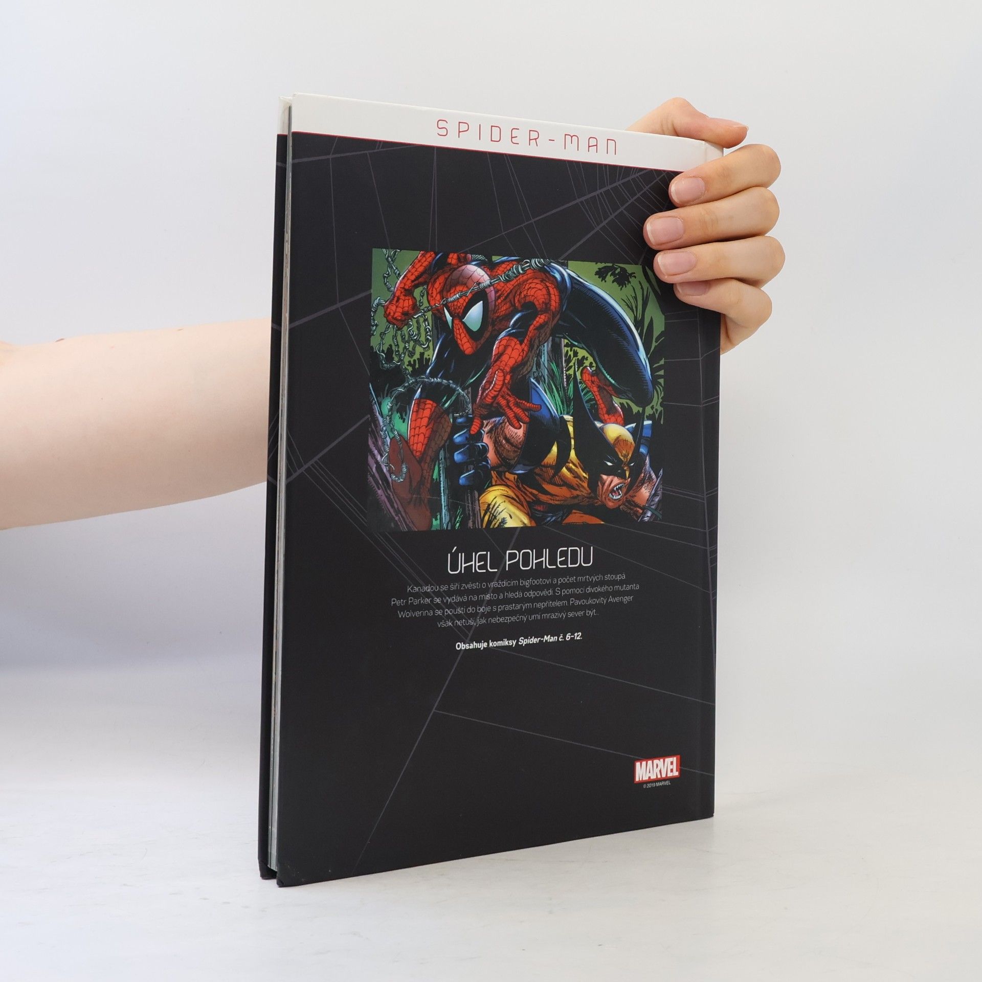 Todd McFarlane Spider-Man 1. Úhel pohledu