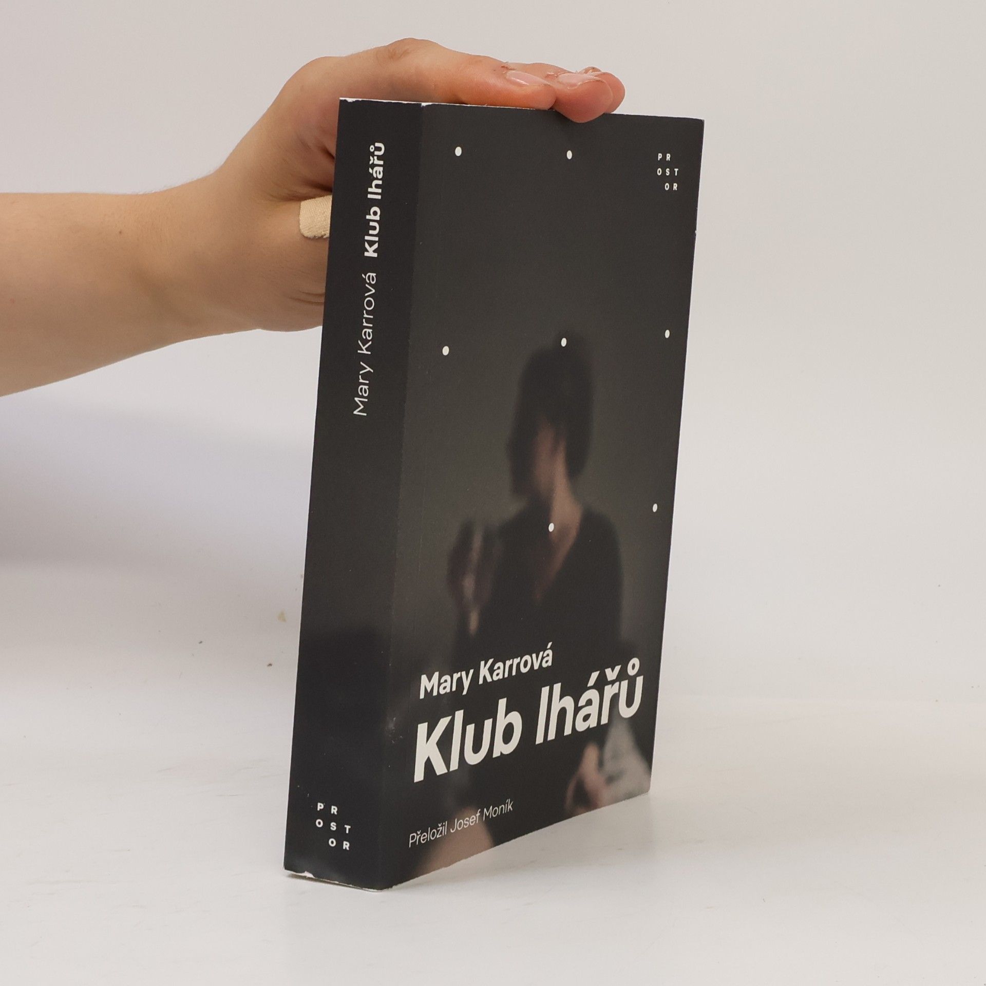 Mary Karr Klub lhářů