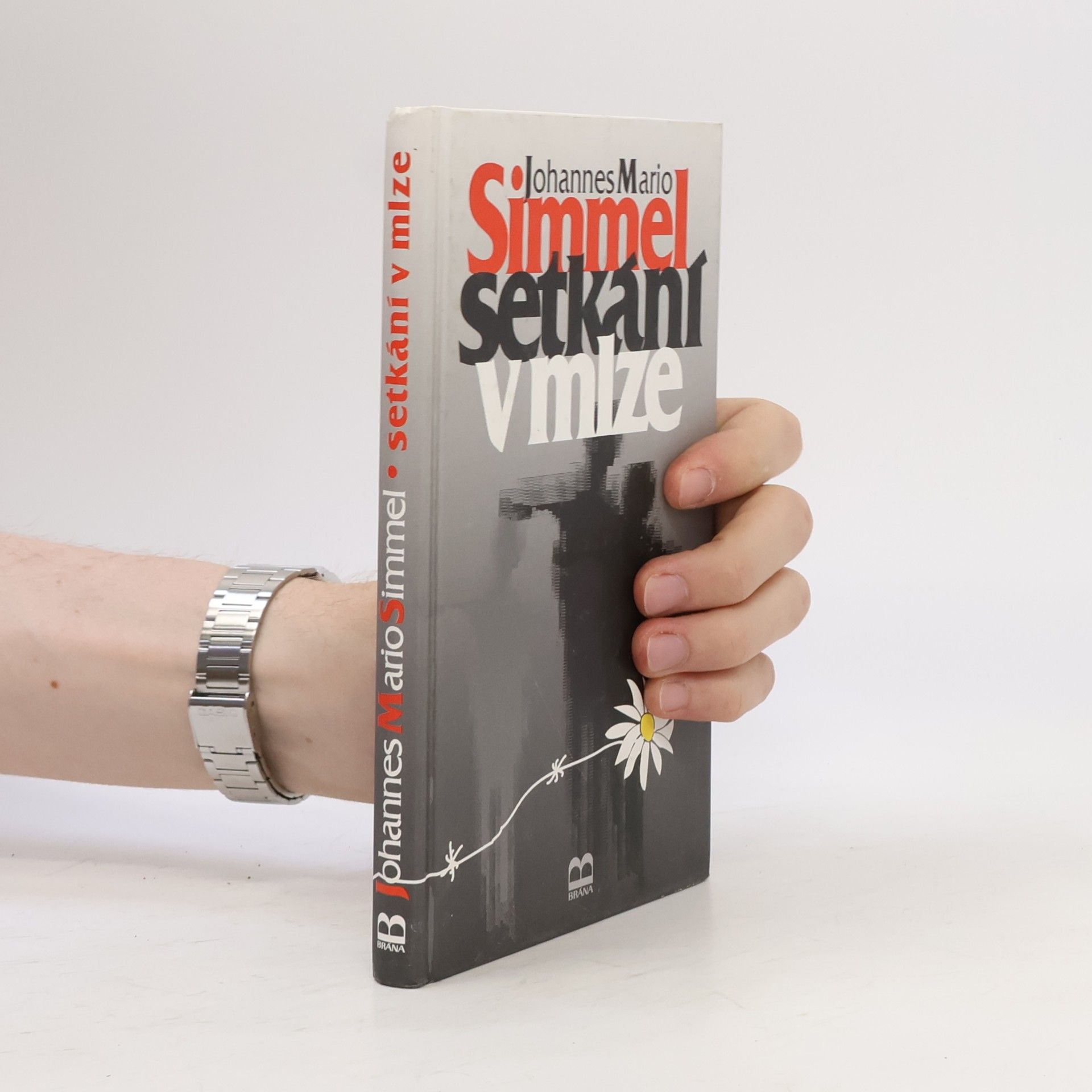 Johannes Mario Simmel Setkání v mlze