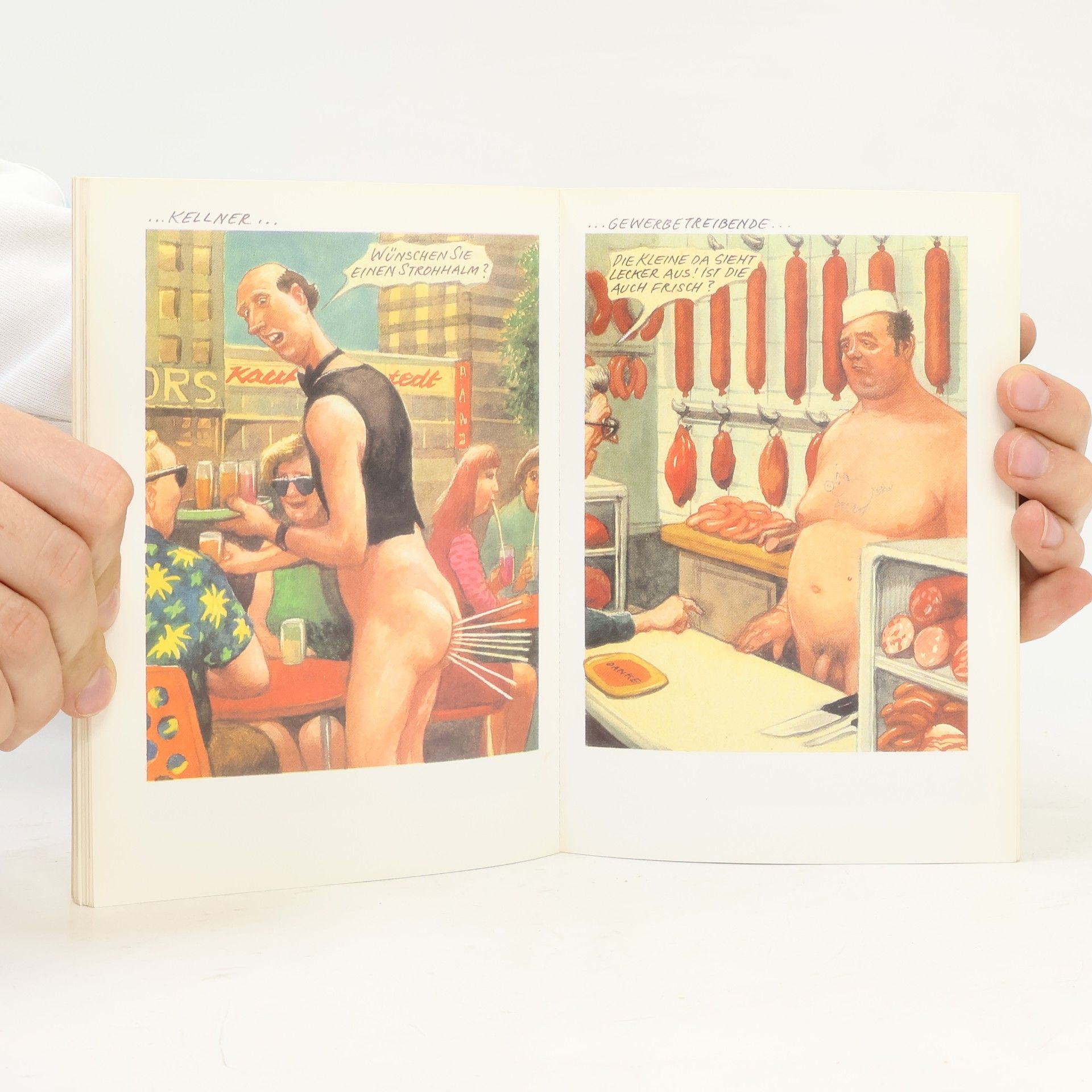 Manfred Deix Mein Tagebuch