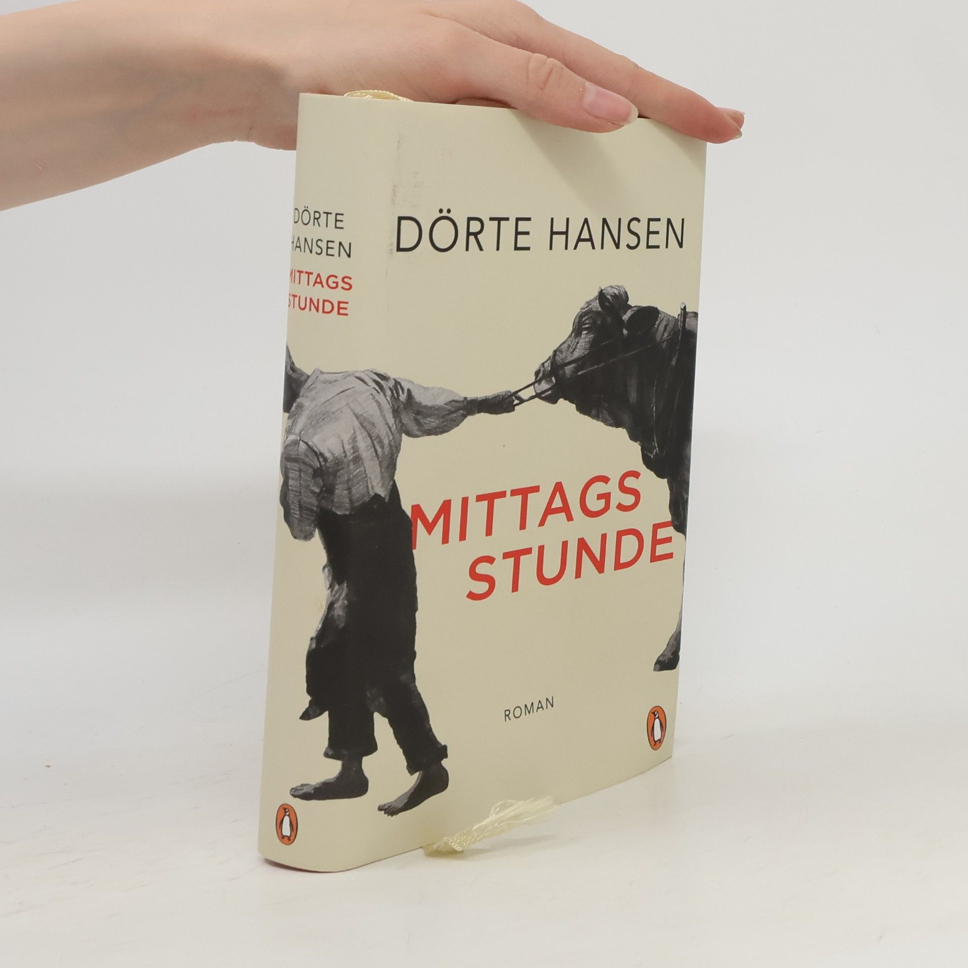 Dörte Hansen Mittagsstunde