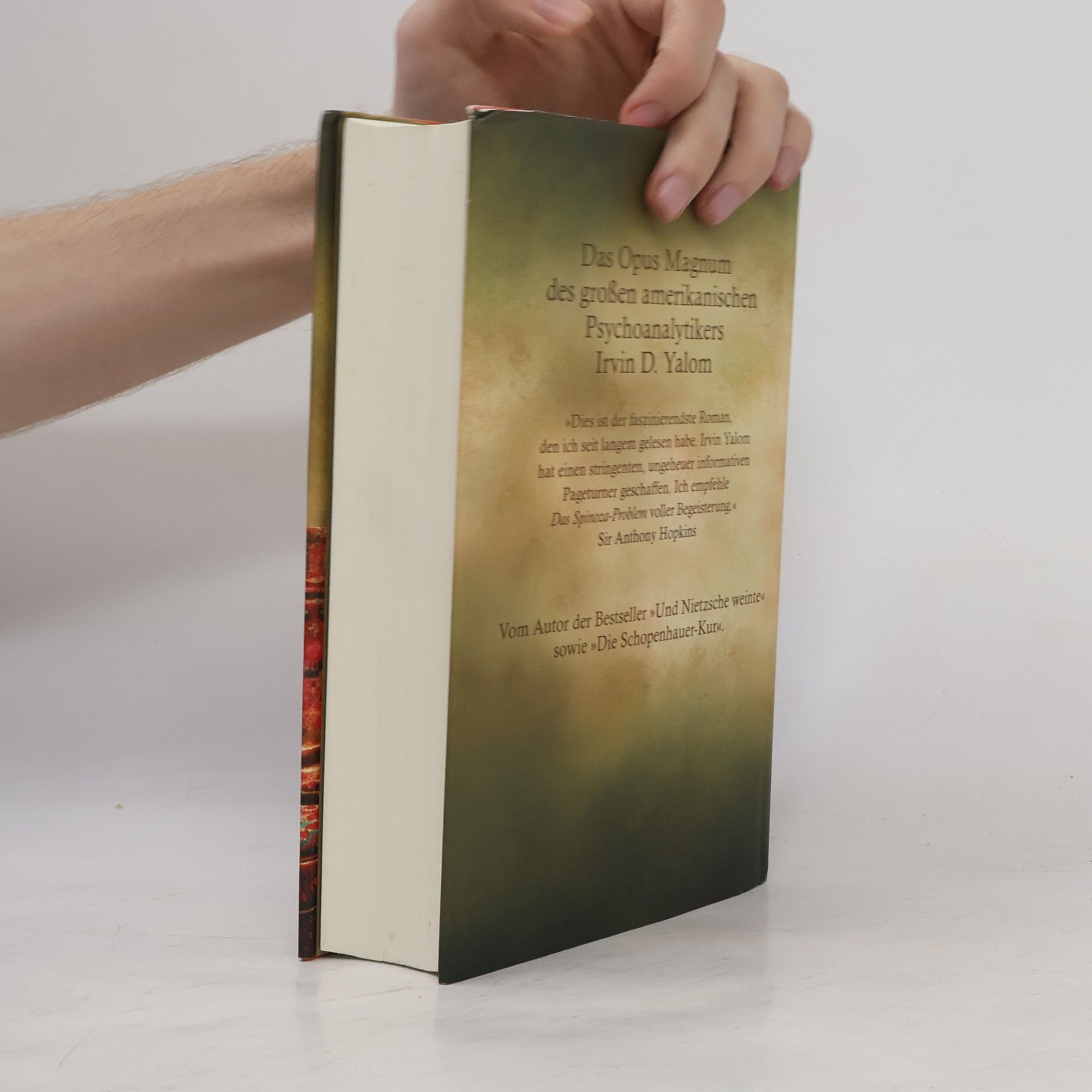 Irvin Yalom Das Spinoza-Problem