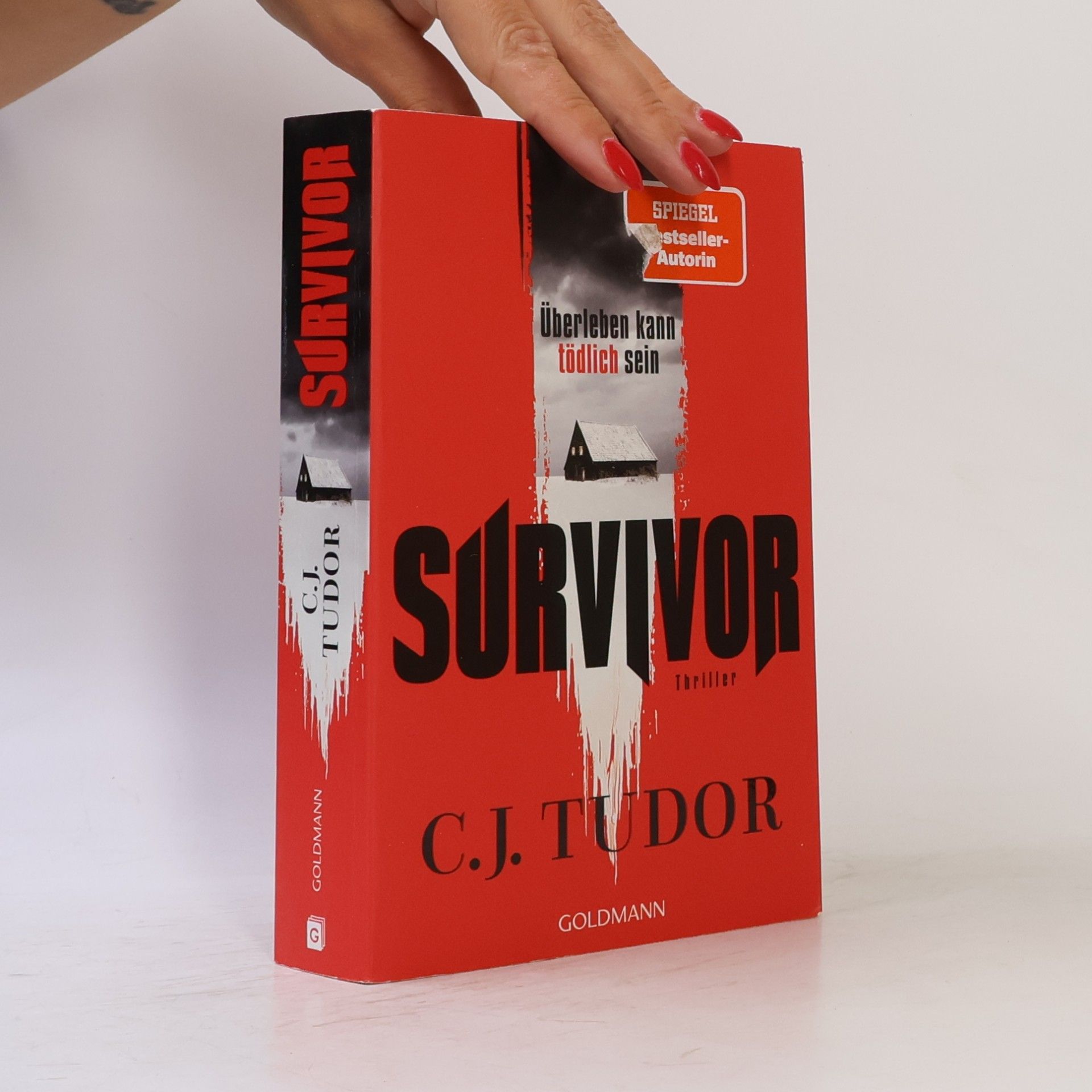 C.J. Tudor Survivor