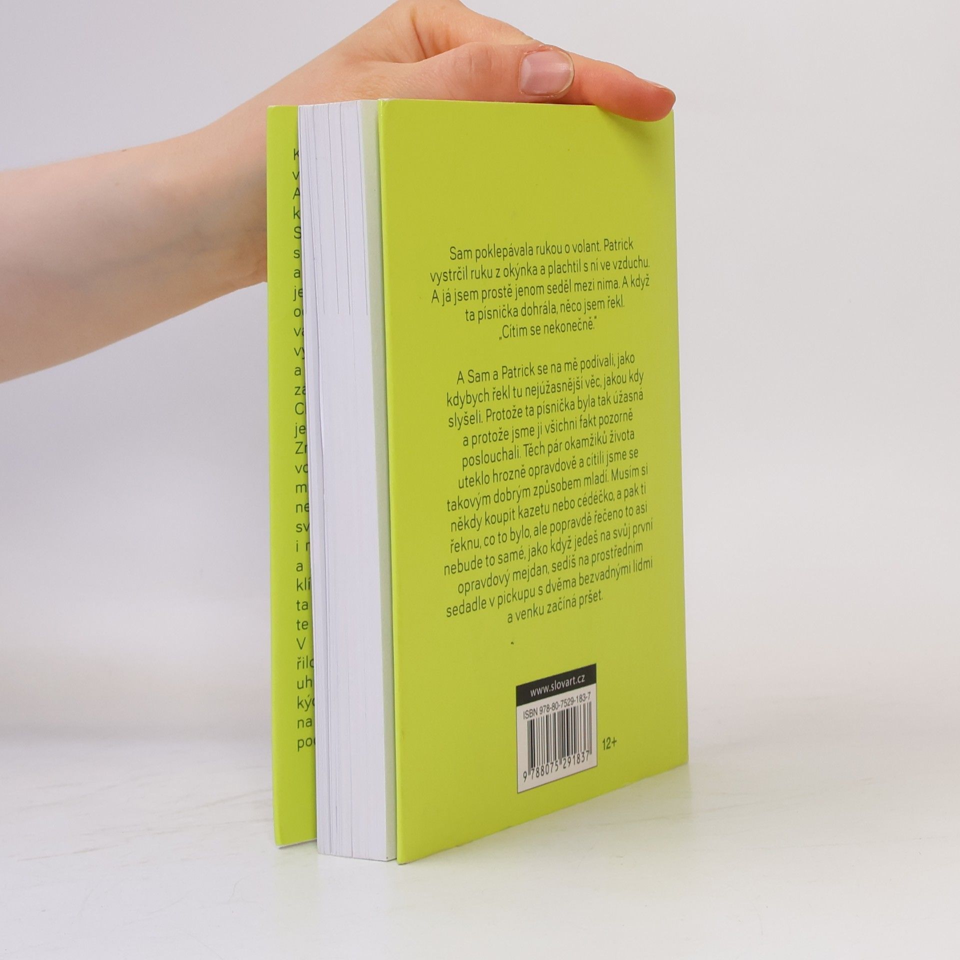 Stephen Chbosky Ten, kdo stojí v koutě