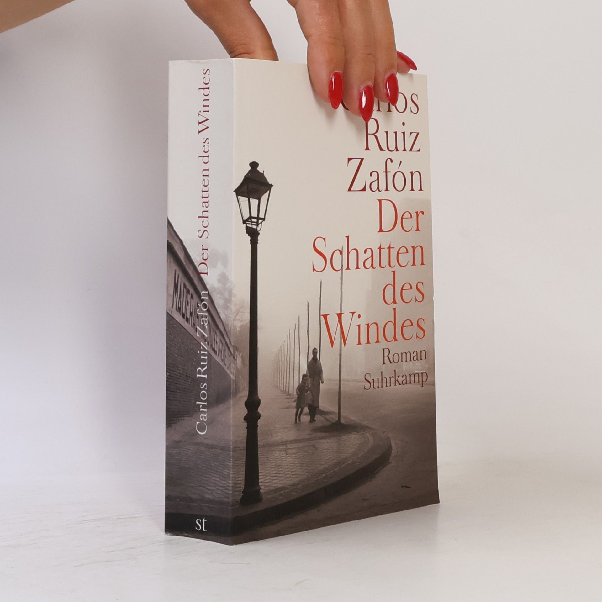Carlos Ruiz Zafón Der Schatten des Windes