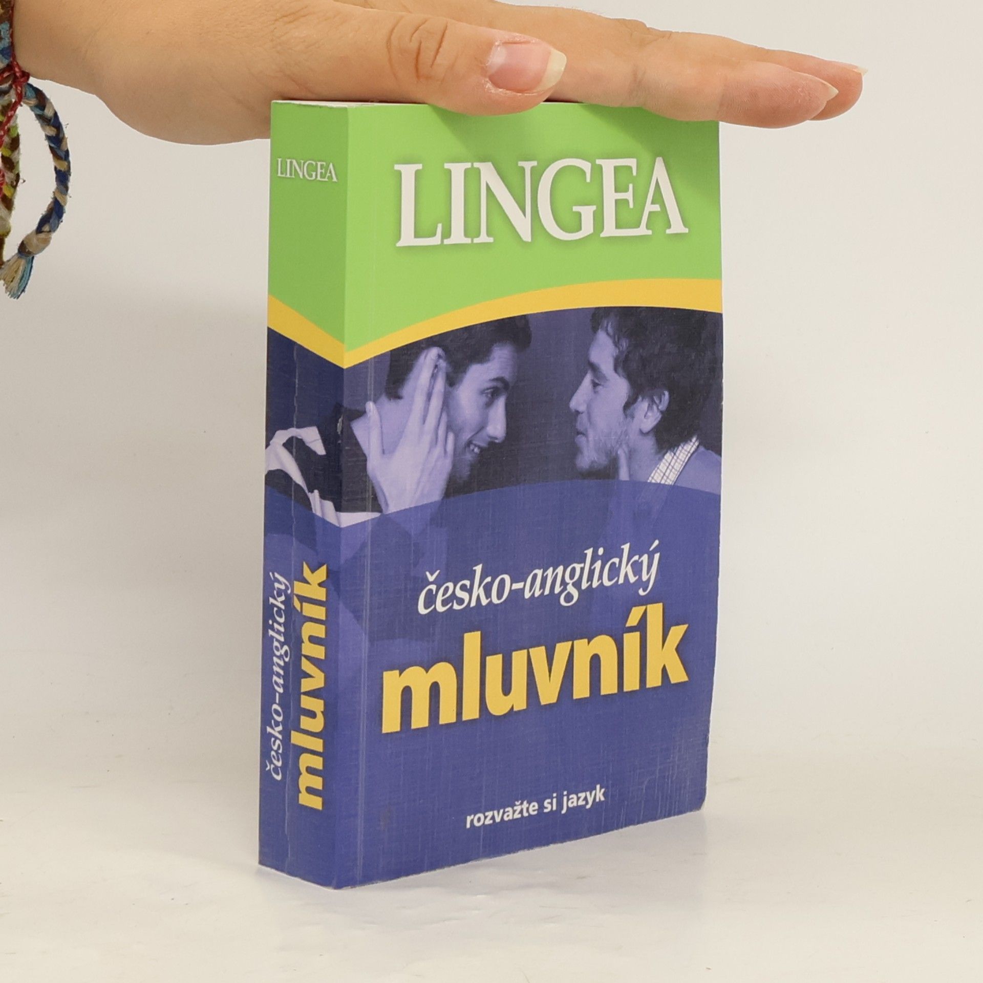 Kolektiv autorů Česko-anglický mluvník