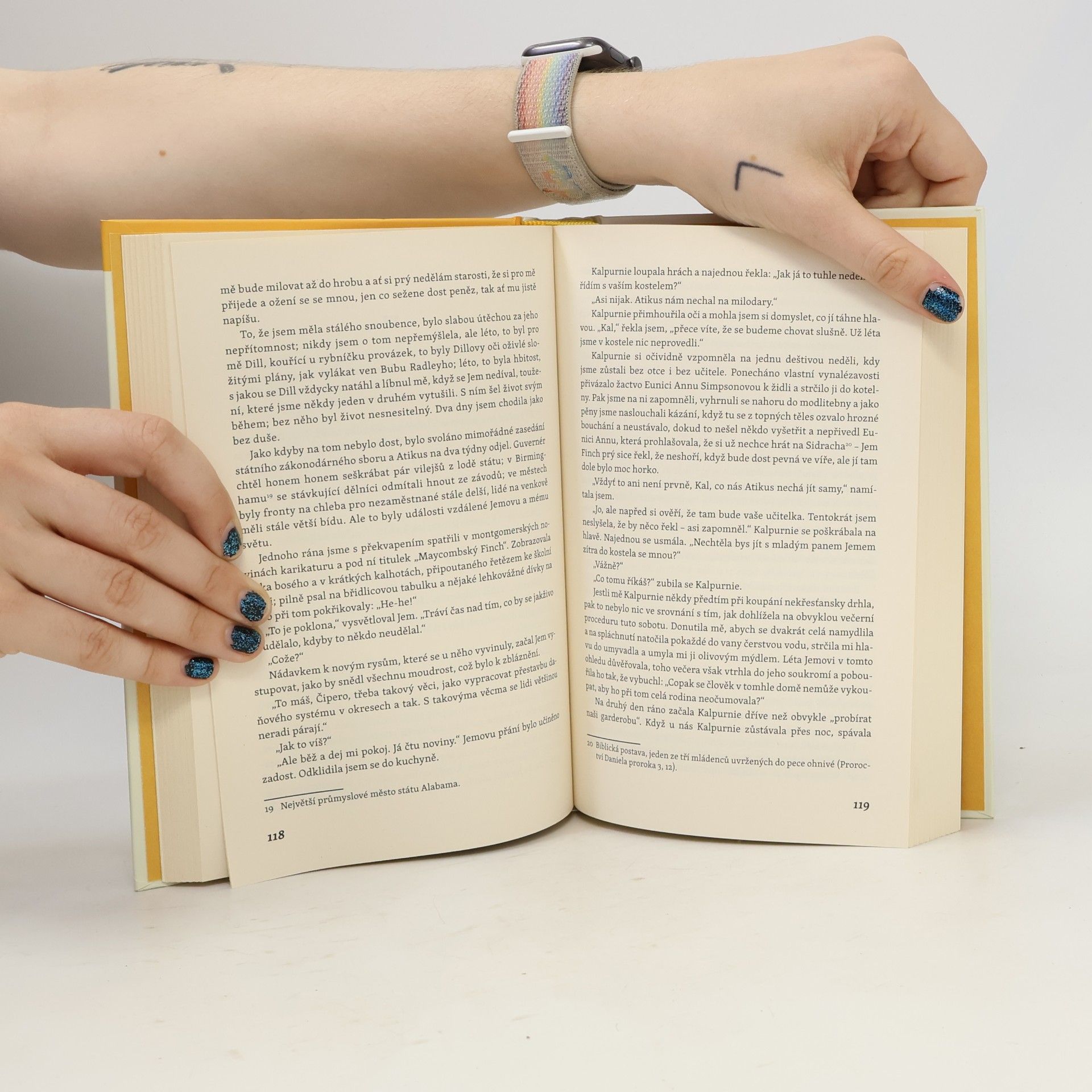 Harper Lee Jako zabít ptáčka