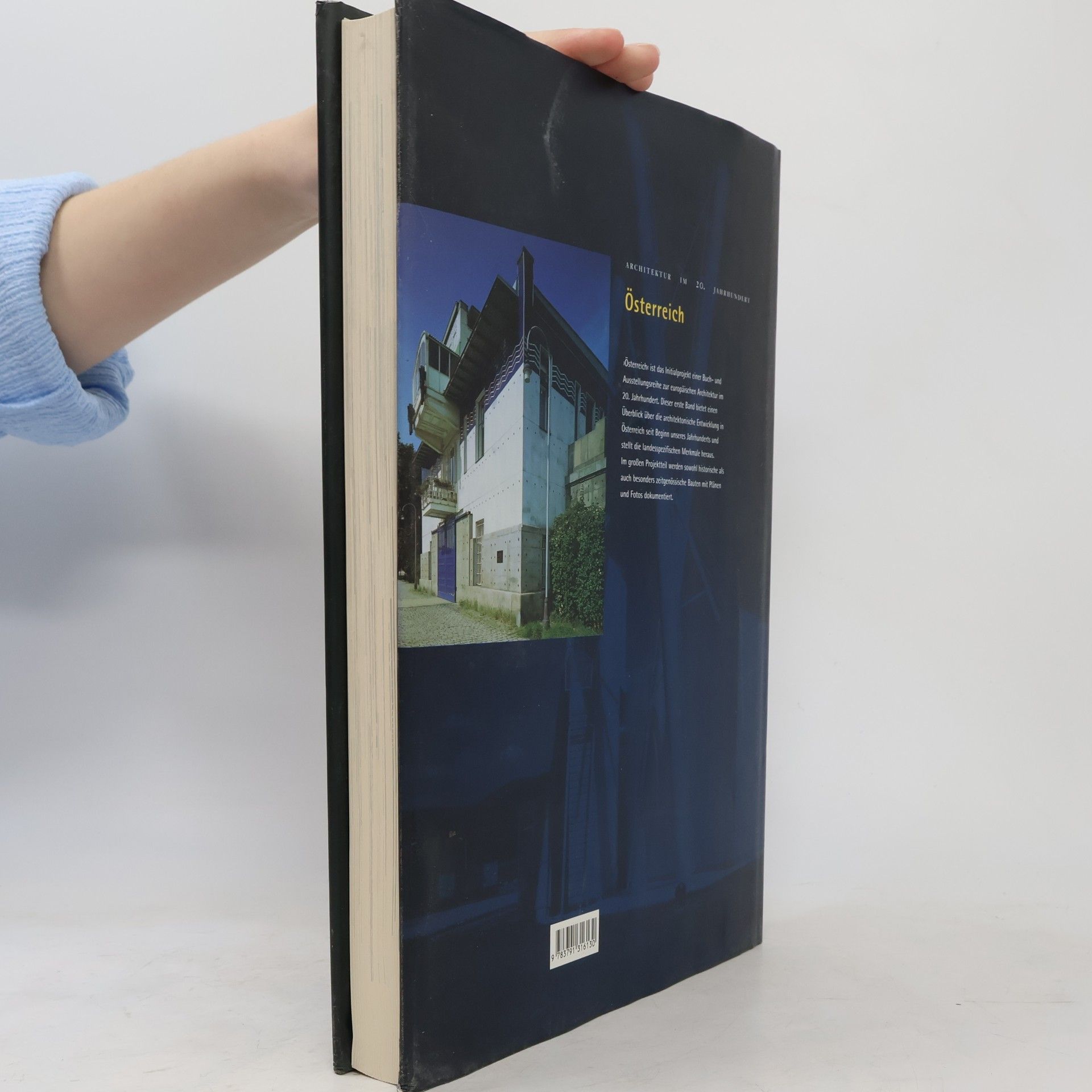 Annette Becker Architektur im 20. Jahrhundert. Österreich
