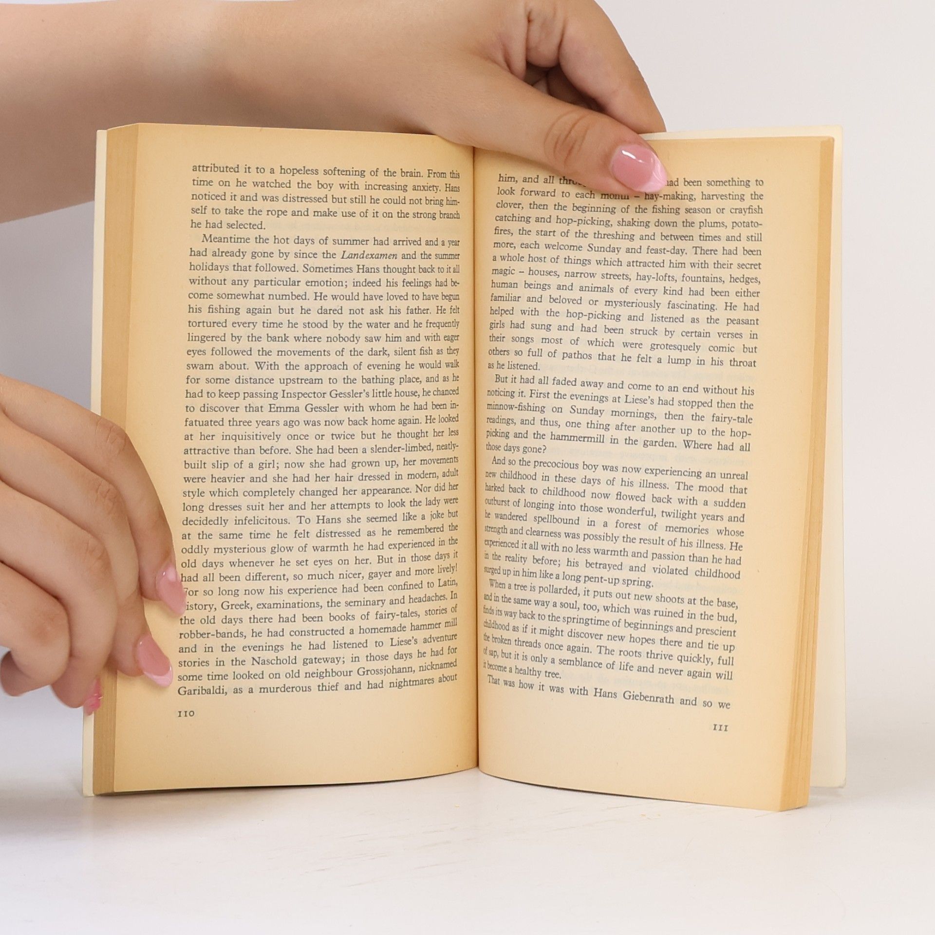 Hermann Hesse The prodigy