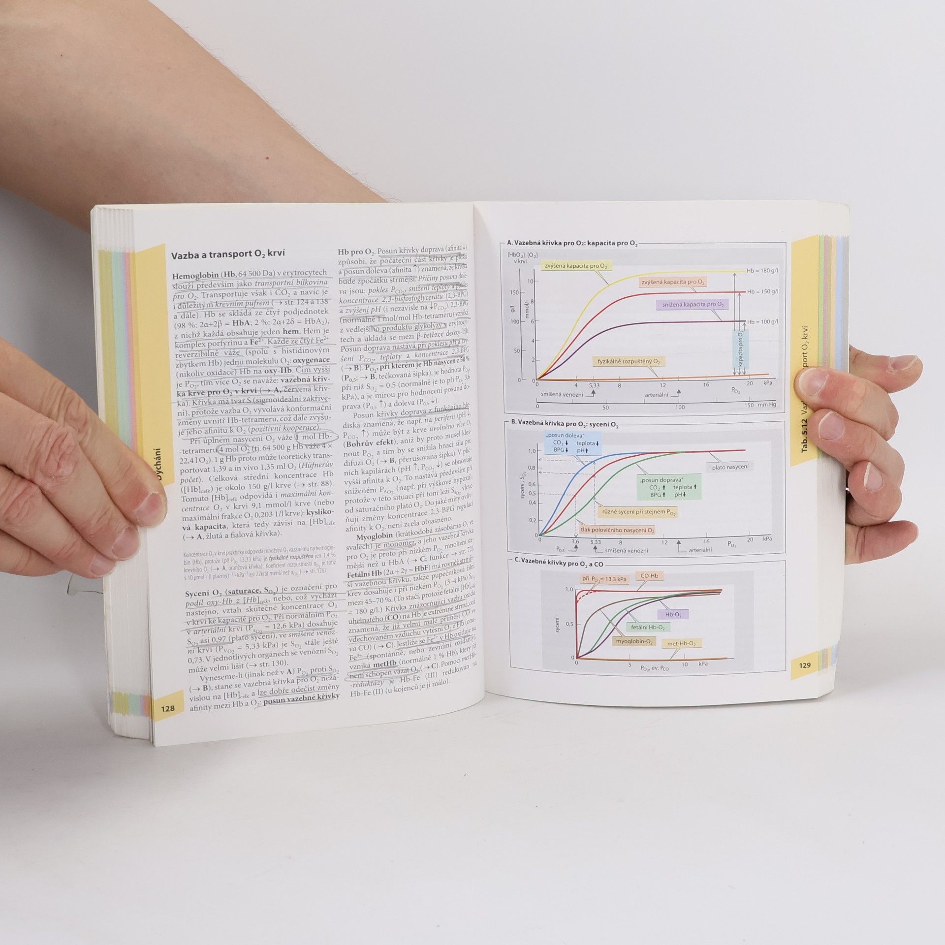 Stefan Silbernagl Atlas fyziologie člověka
