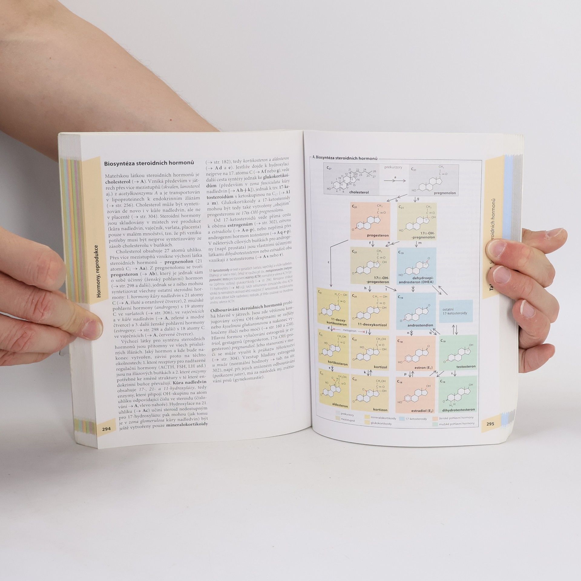 Stefan Silbernagl Atlas fyziologie člověka