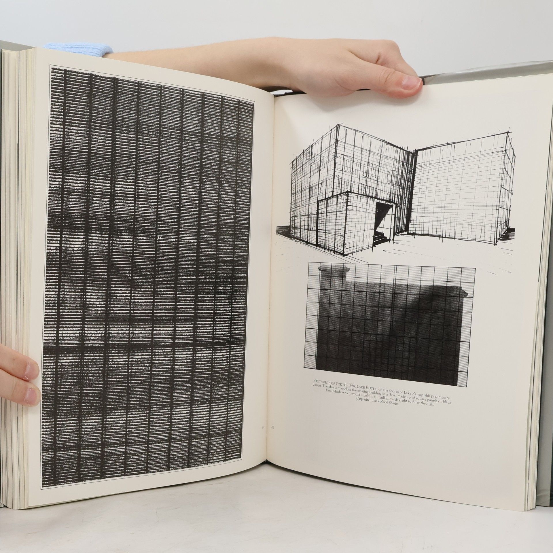 Andrée Putman Andree Putman - A Designer Apart