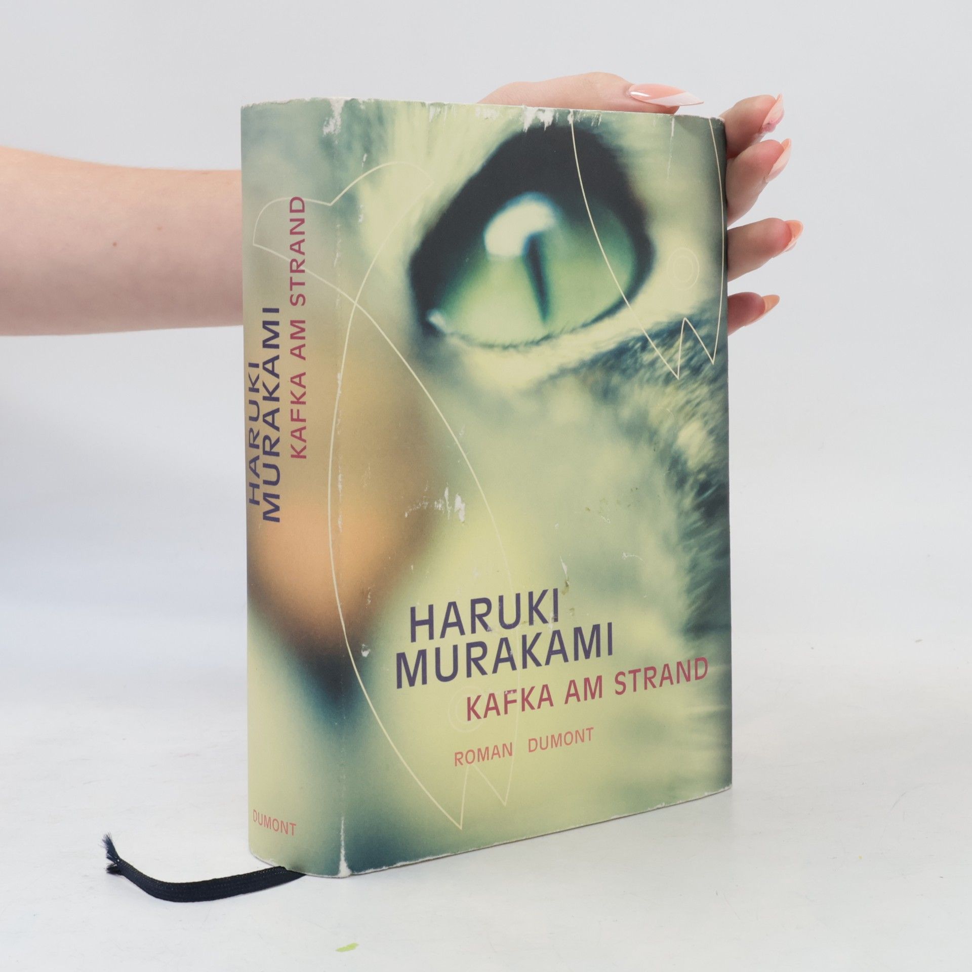 Haruki Murakami Kafka am Strand