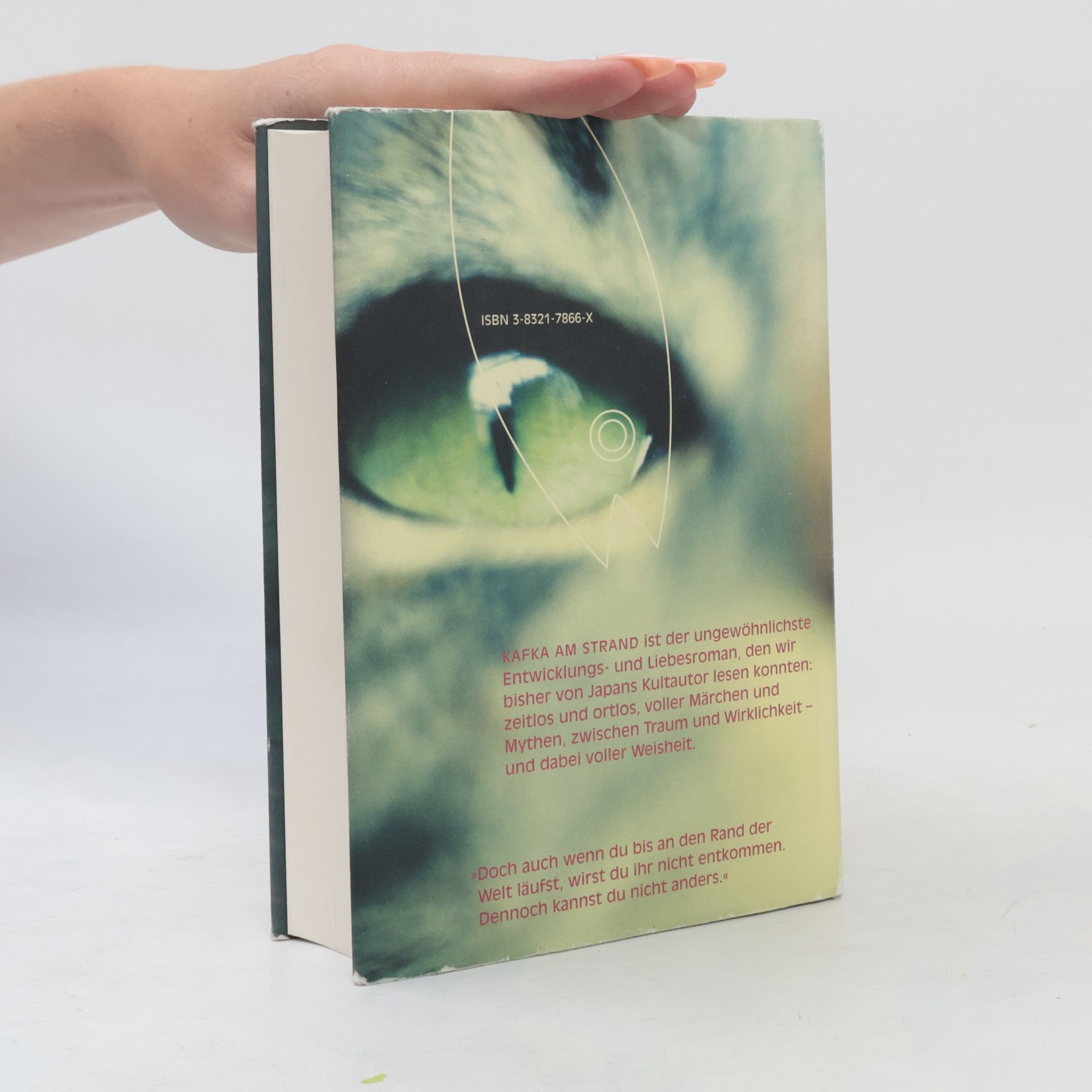 Haruki Murakami Kafka am Strand