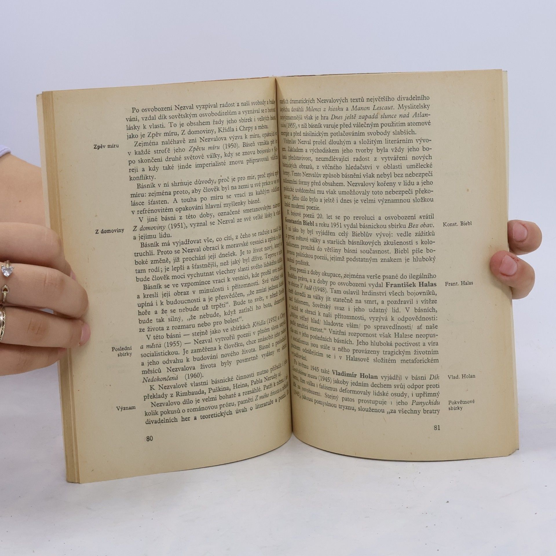 Ludvík Páleníček Rukověť dějiny české a slovenské literatury od roku 1918