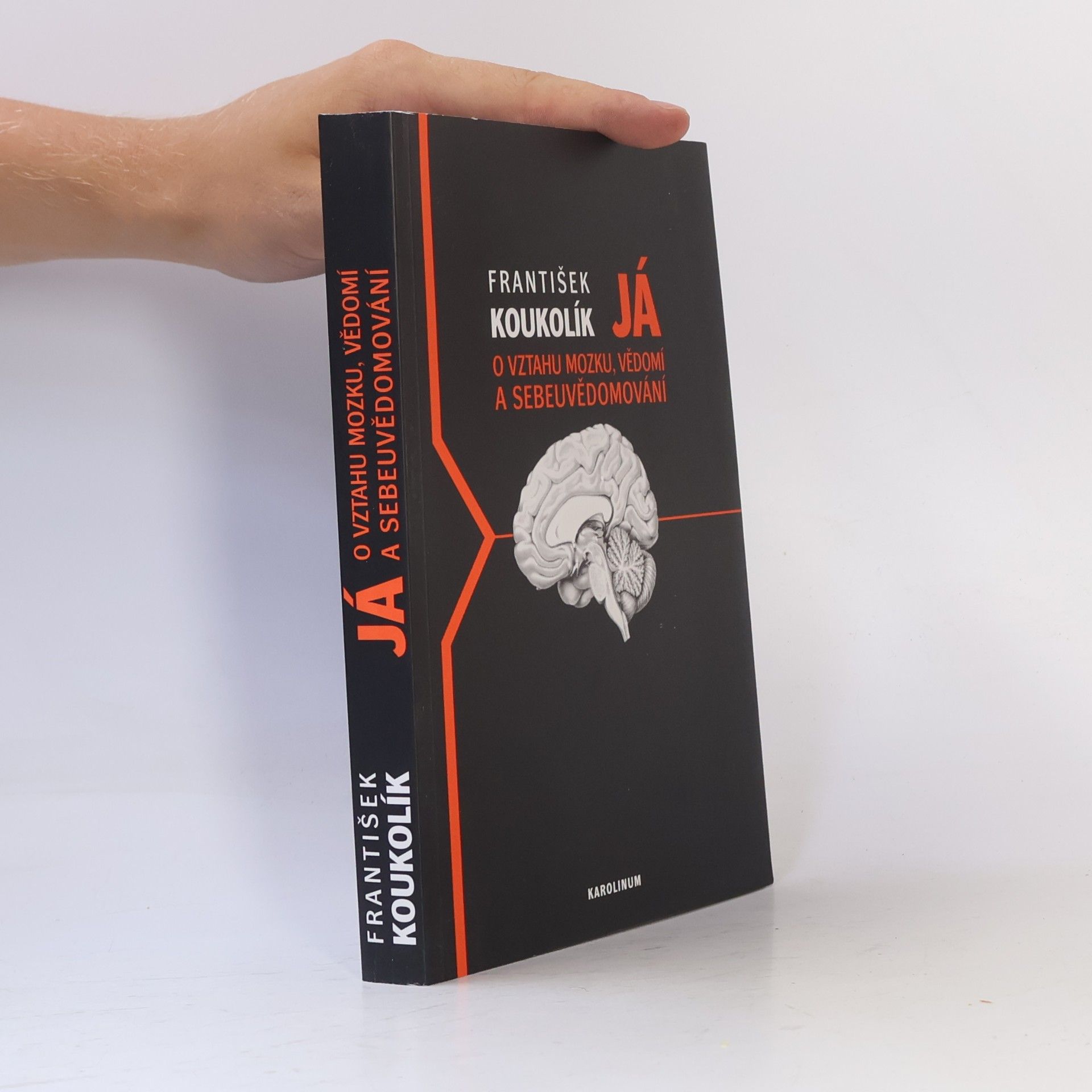 František Koukolík Já. O vztahu mozku, vědomí a sebeuvědomování