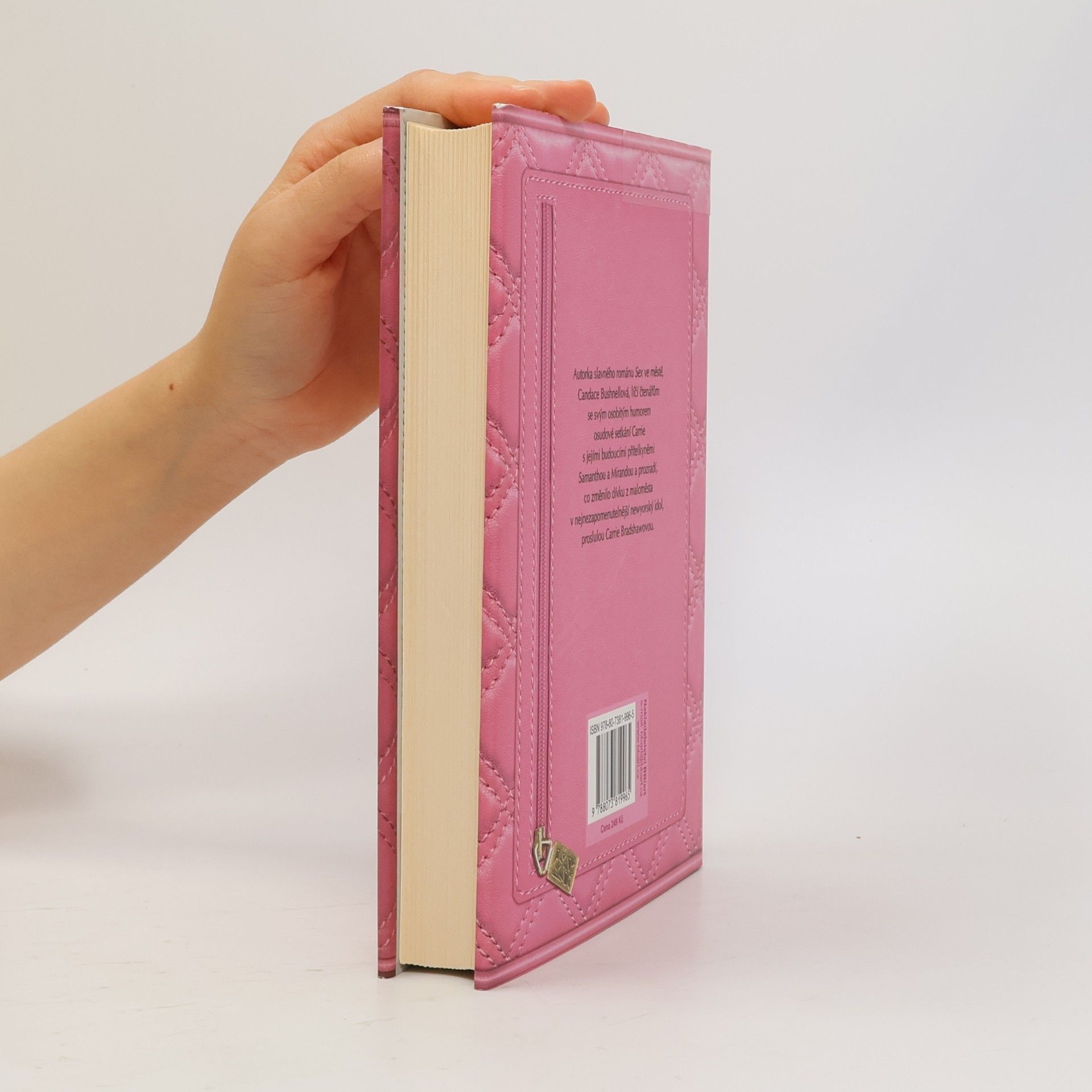 Candace Bushnell Deníky Carrie B. 2, Léto ve městě