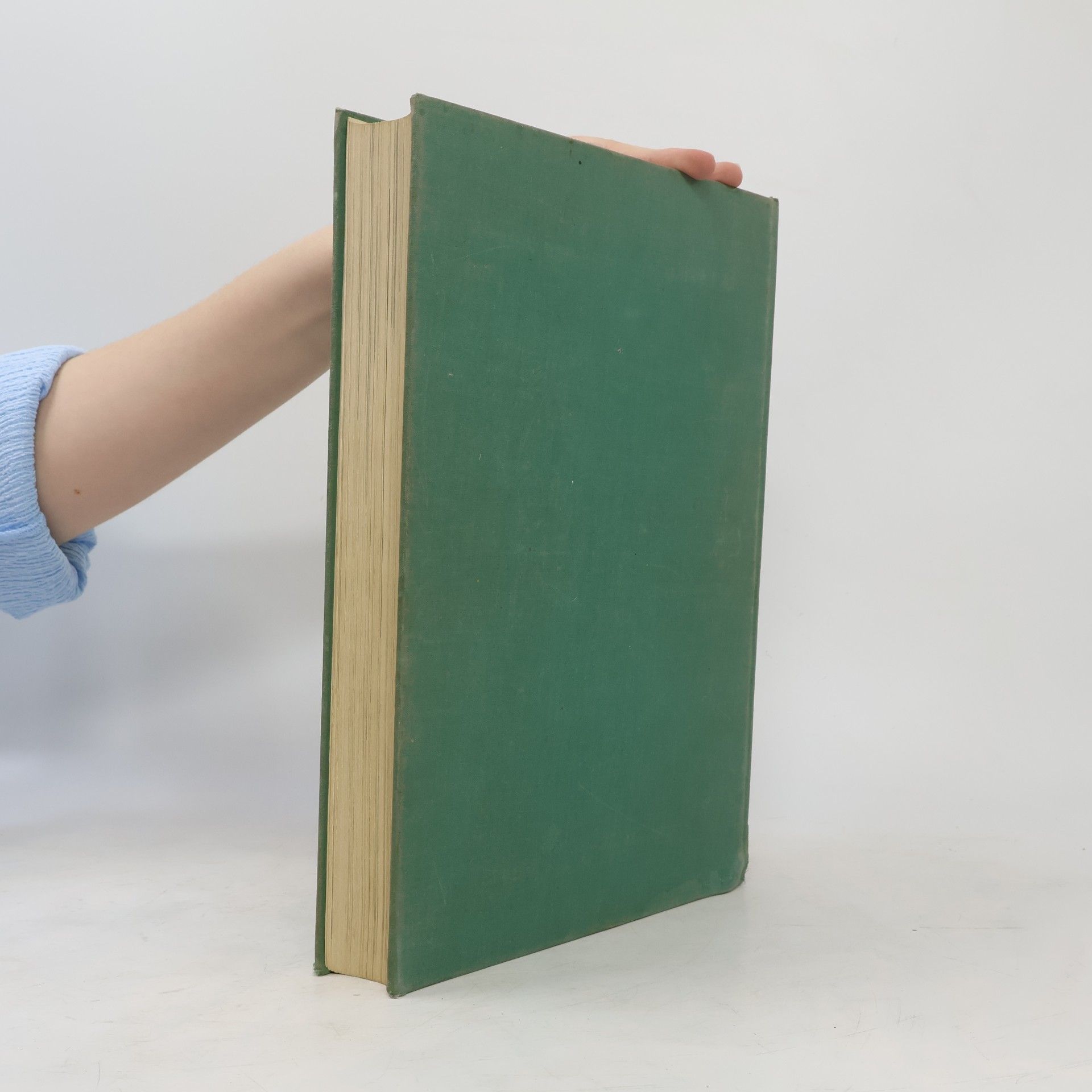 Autorenkollektiv Das Grosse Buch Der Kunst