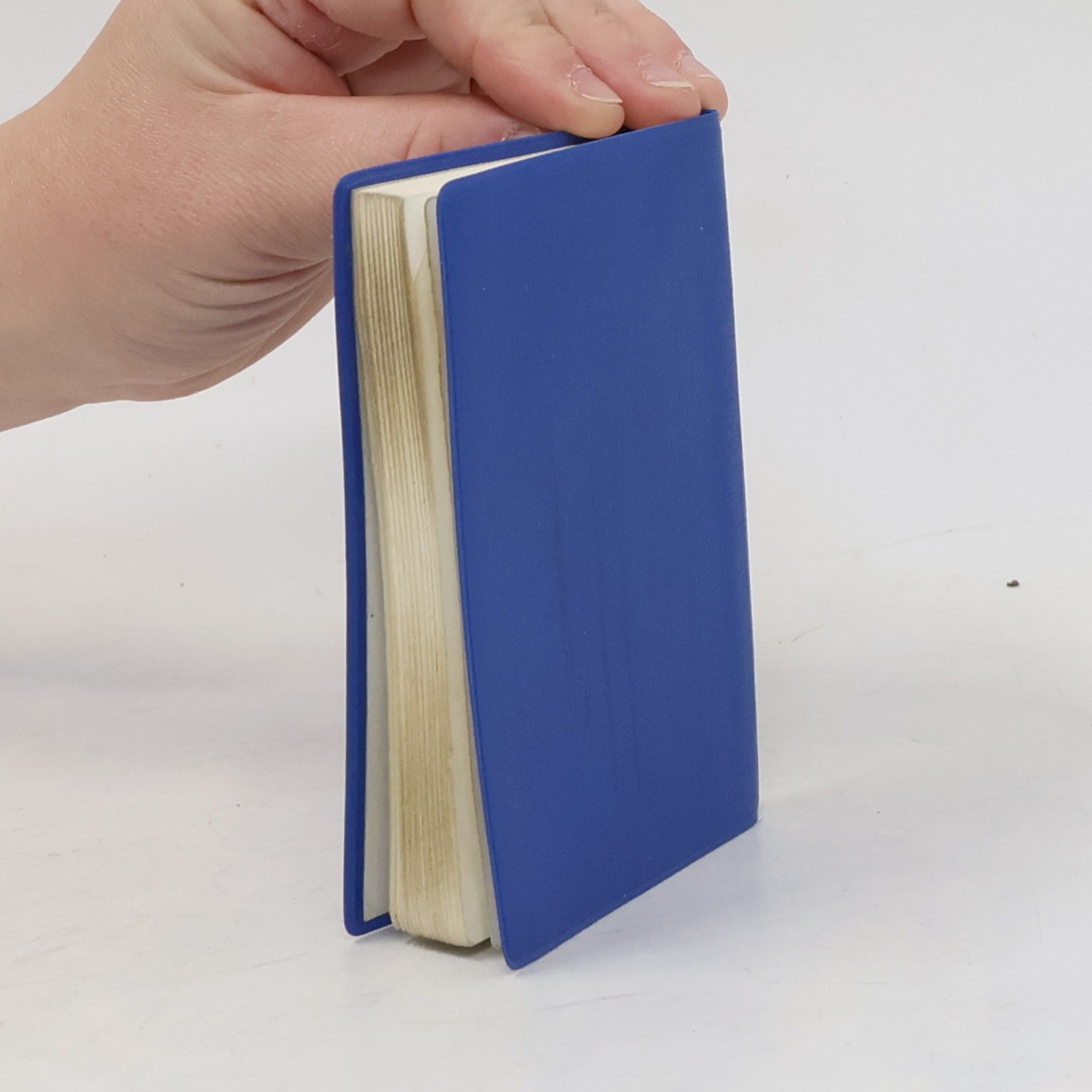 Various authors Nový zákon našeho Pána a Spasitele Ježíše Krista