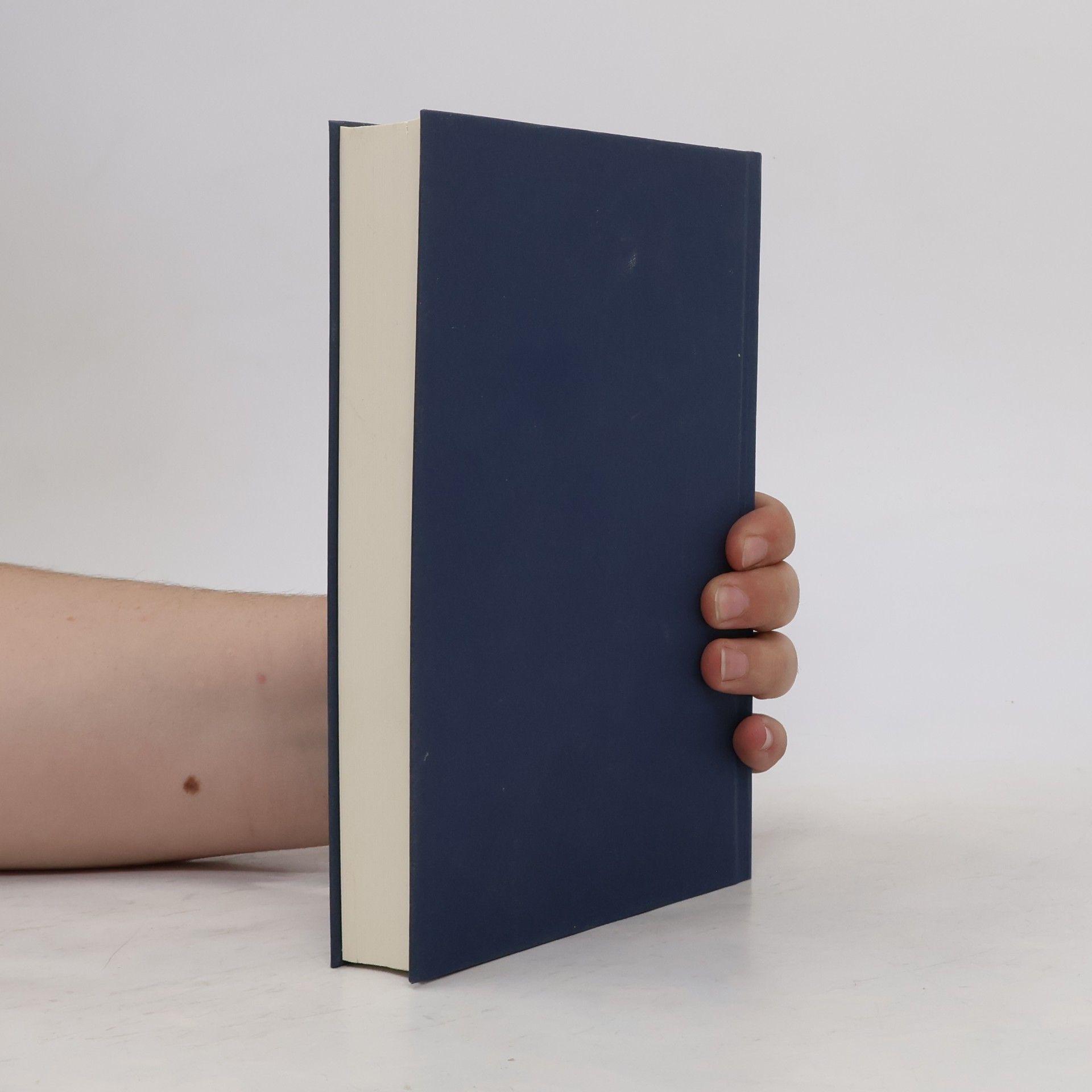 Jan Costin Wagner Tage des letzten Schnees