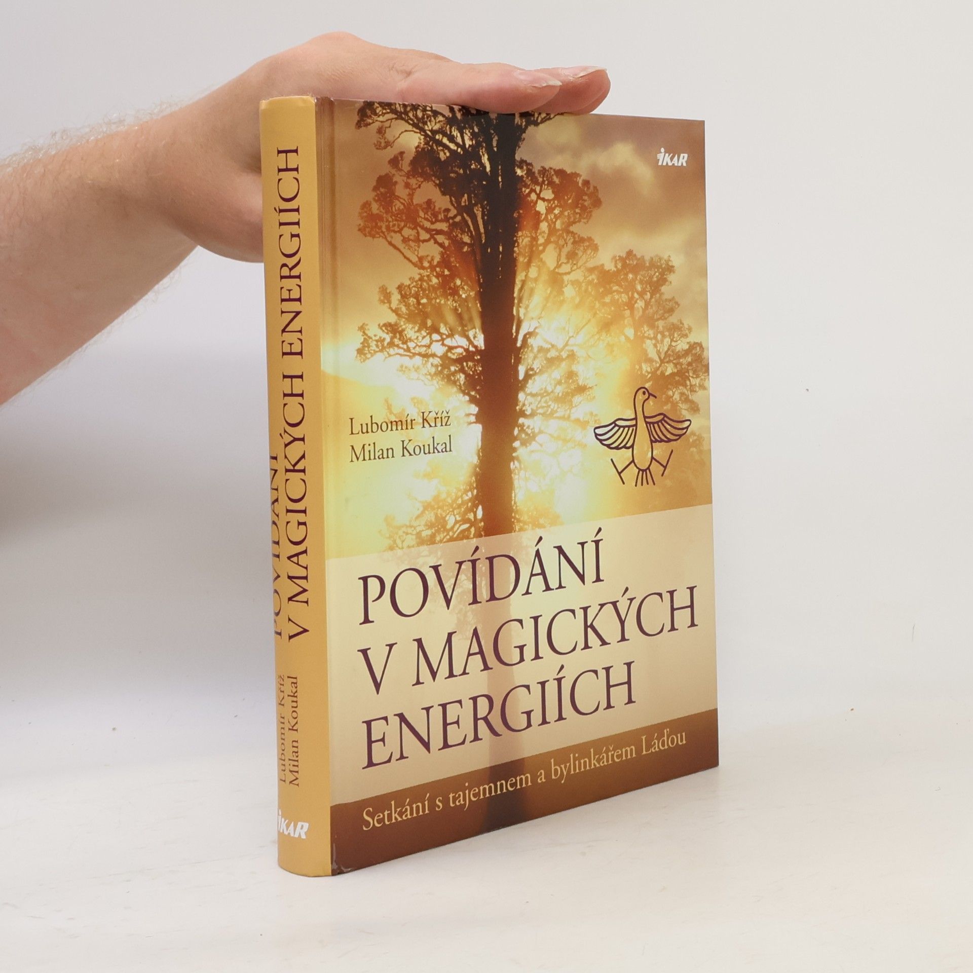 Lubomír Kříž Povídání v magických energiích