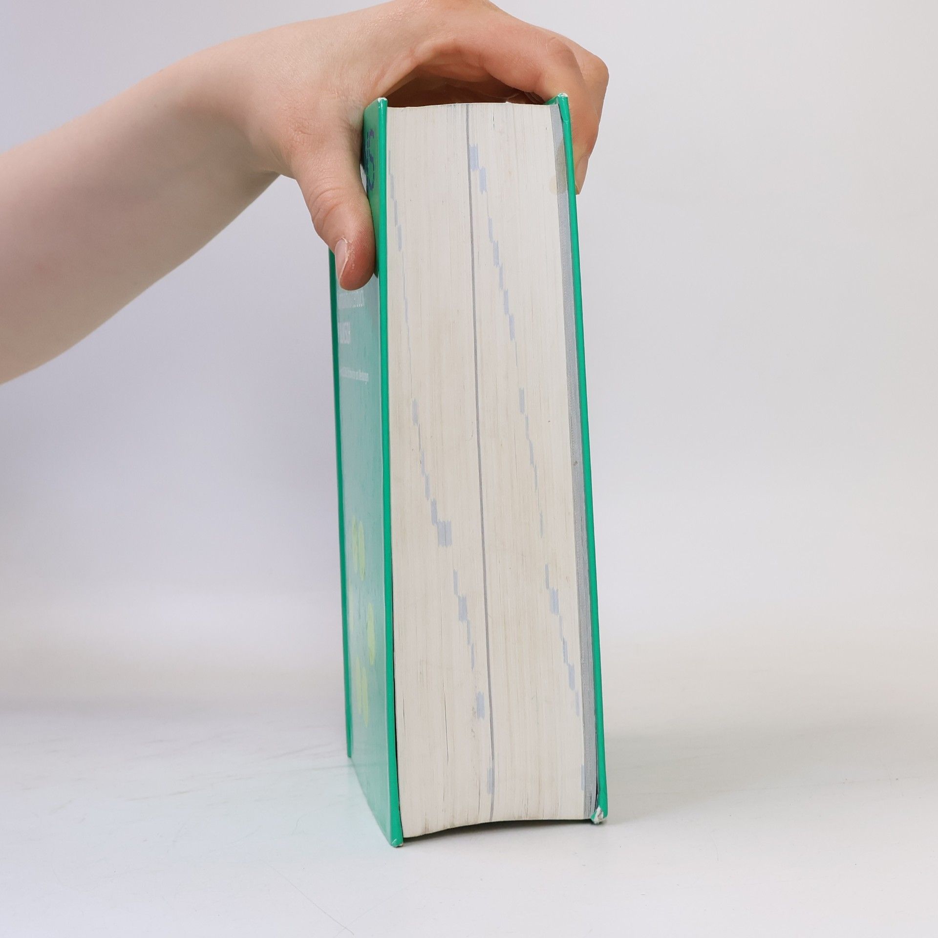 Ariane Afsari PONS Kompaktwörterbuch
