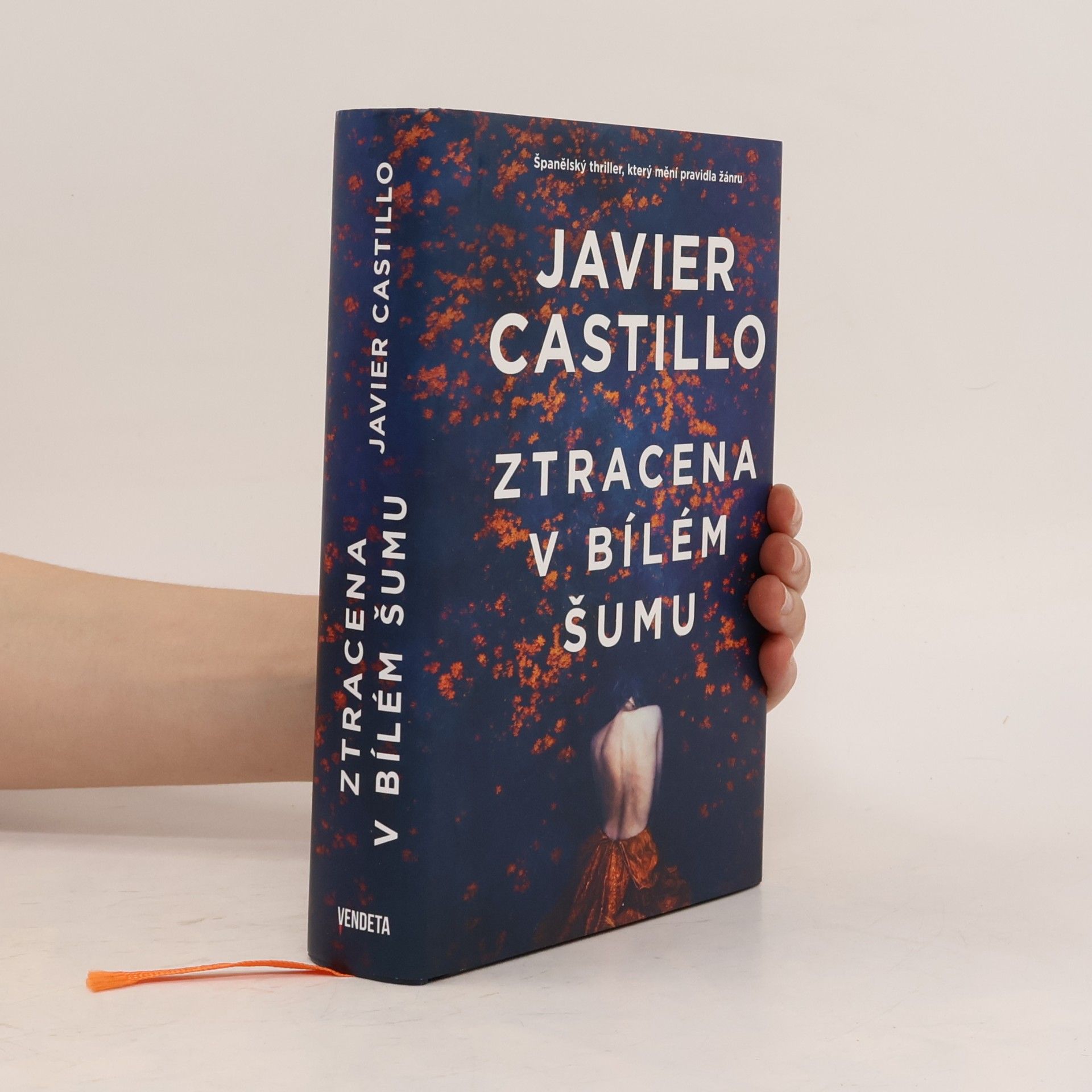 Javier Castillo Ztracena v bílém šumu