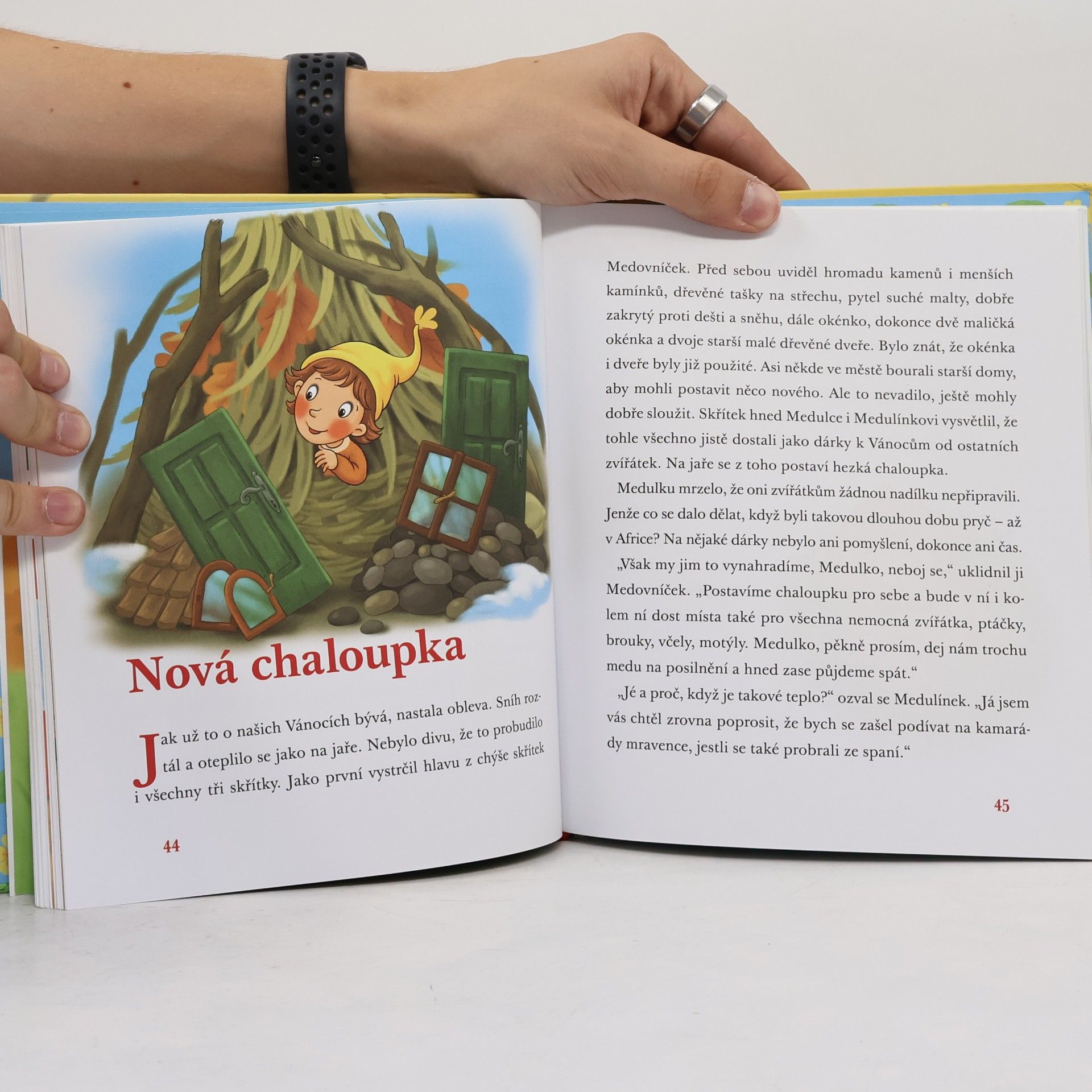 Jan Lebeda Medovníček a jeho nemocnice pro zvířátka