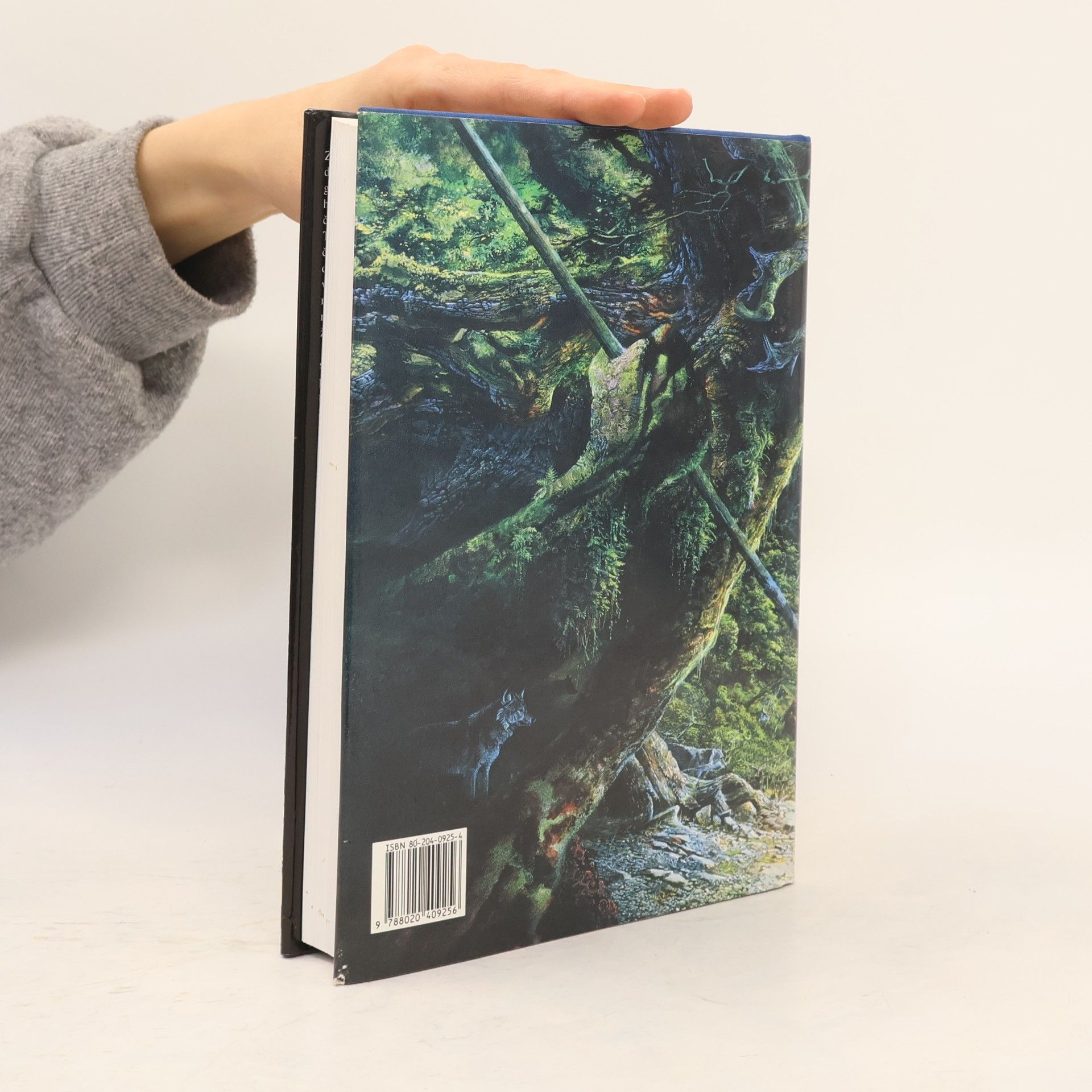 J. R. R. Tolkien Pán prstenů. Společenstvo Prstenu