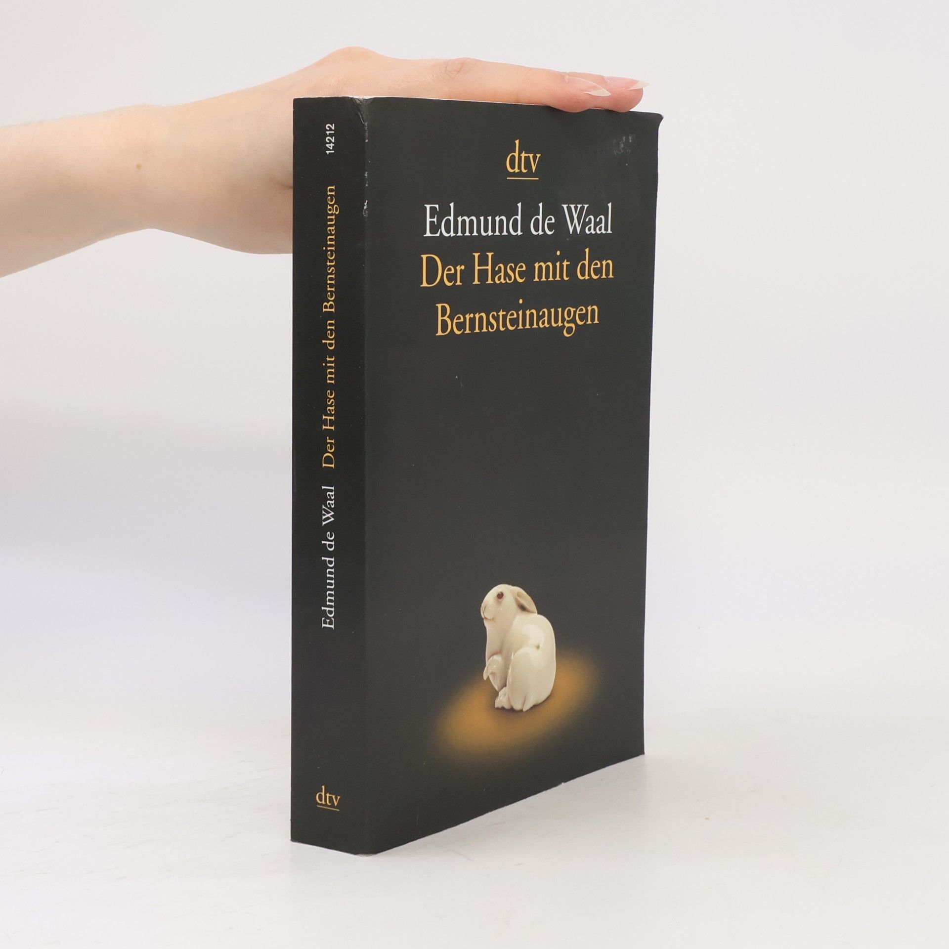 Edmund de Waal Der Hase mit den Bernsteinaugen