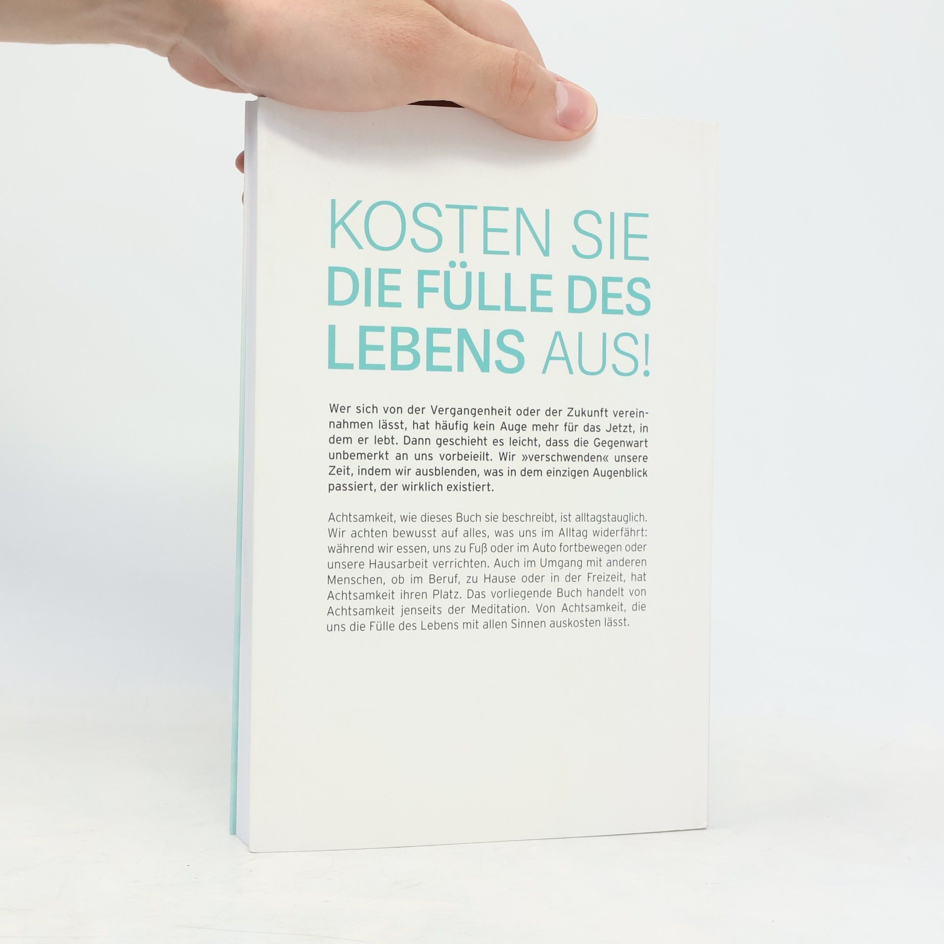 Gill Hasson Bewusst Leben. Wie wir Achtsam mit Unserer Zeit Umgehen Sollen