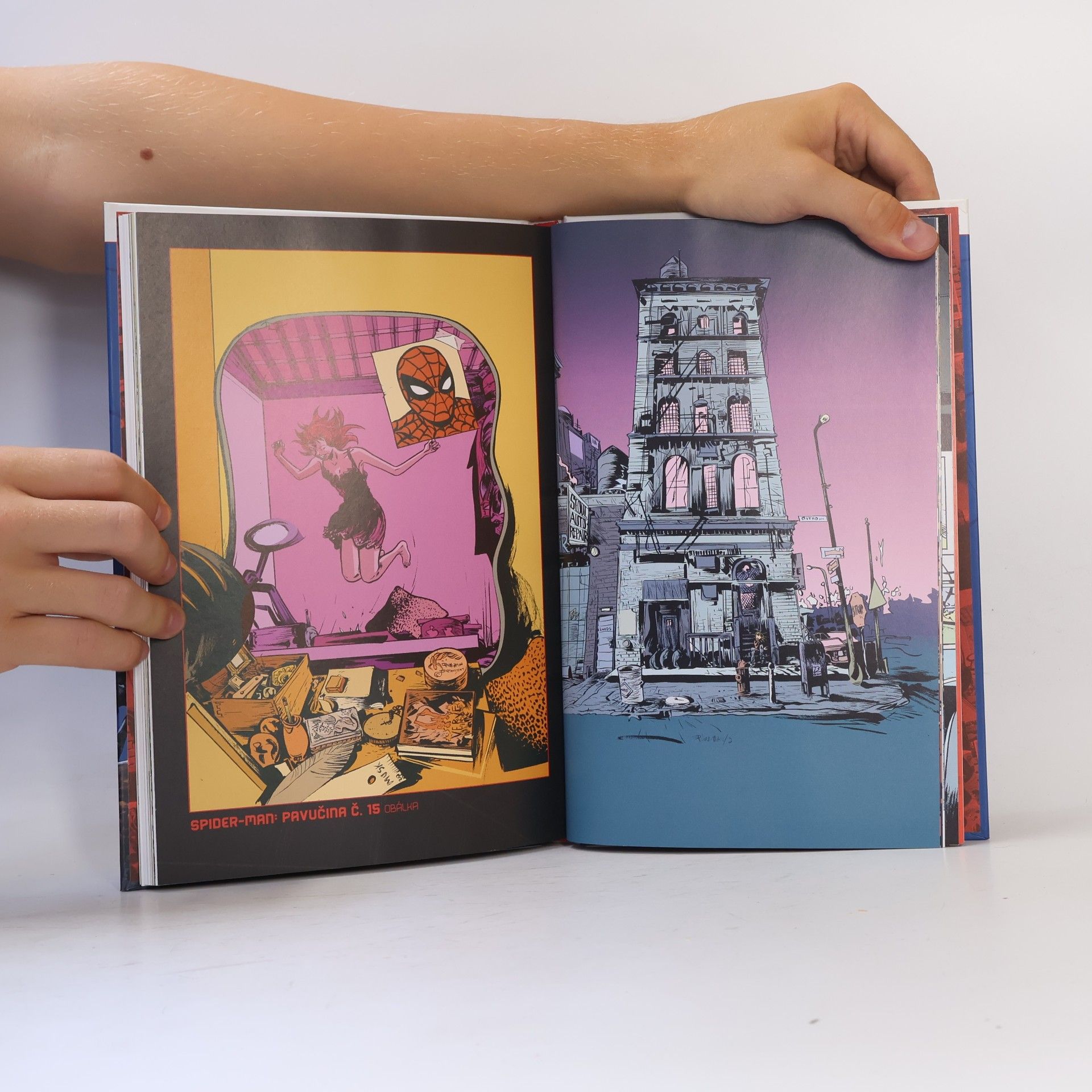Kolektiv autorů Komiksový výběr Spider-Man 10. Pavučina