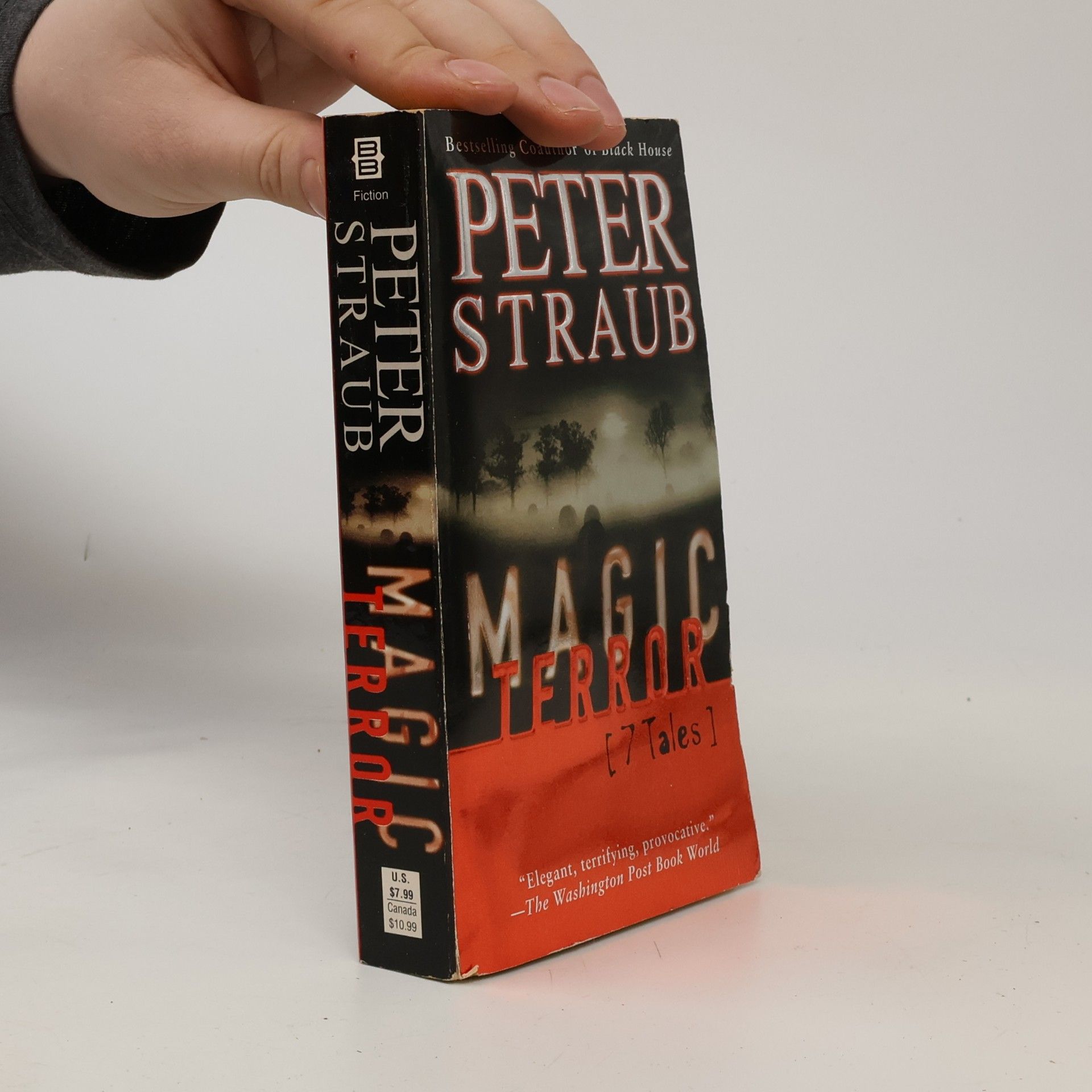 Peter Straub Magic Terror: 7 Tales